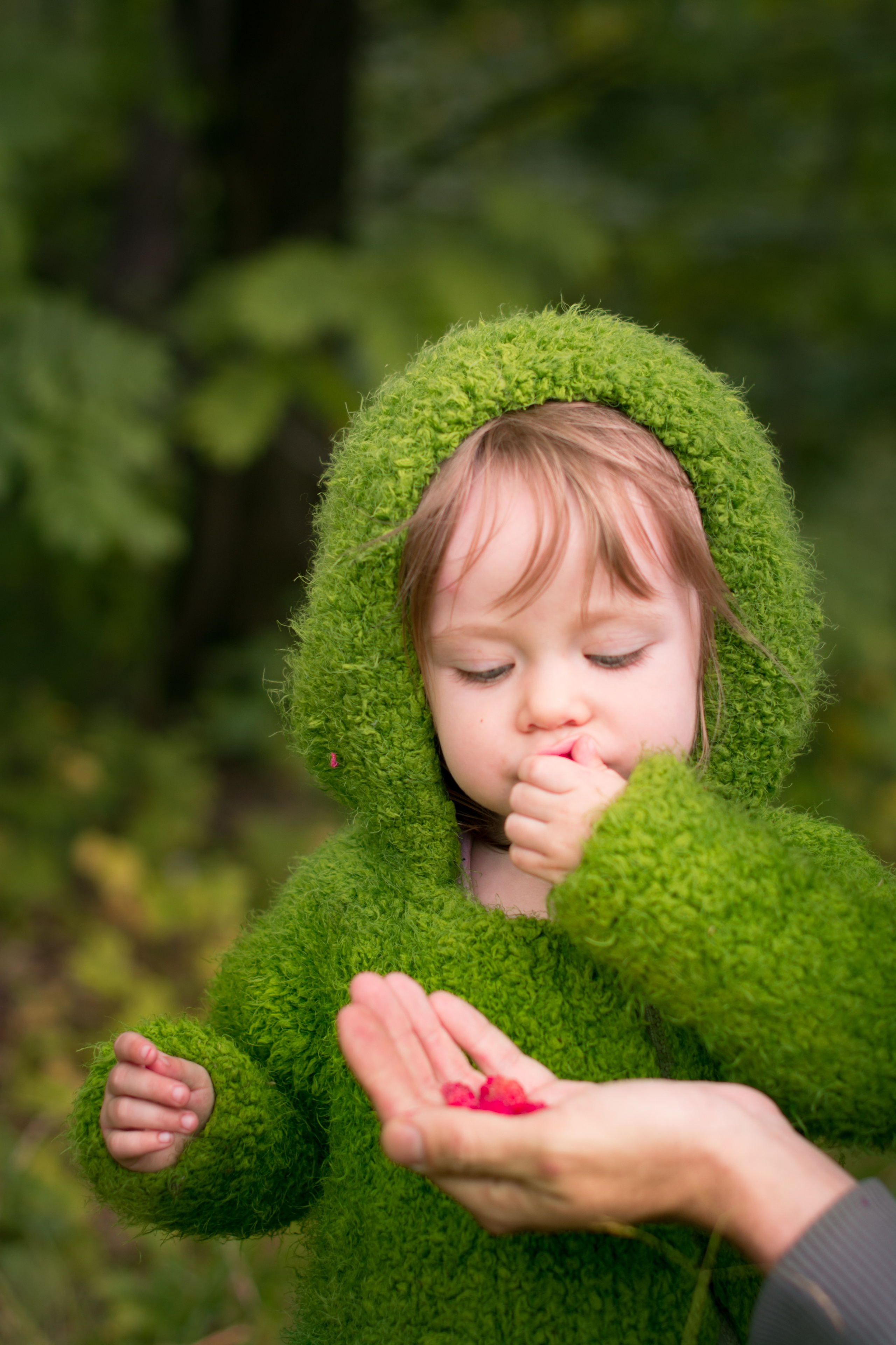 Малинка. Фотосессия беременности — Крылова Натали — Москва
