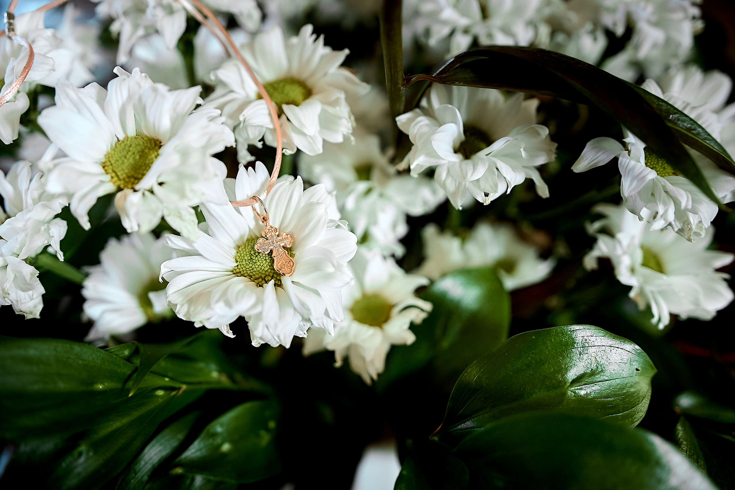 Анонс Таинства Крещения Анны. Фотограф на Крещение и Венчание в Одинцово