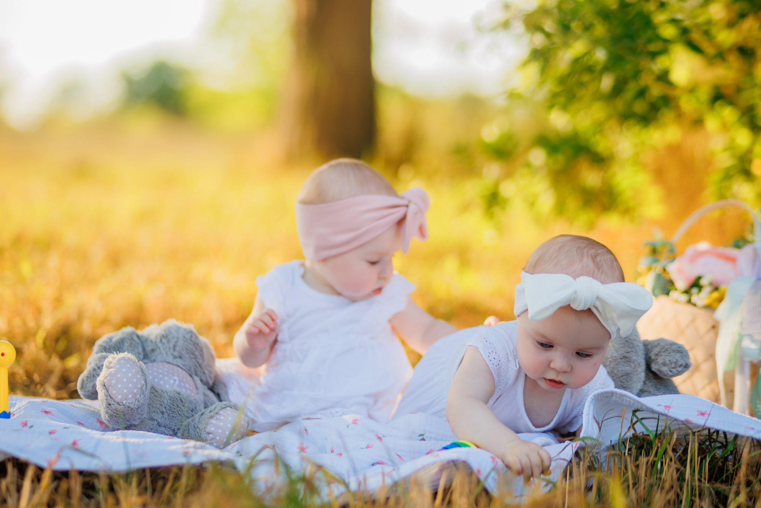 Прогулка на природе. Свадебный и семейный фотограф в Армавире
