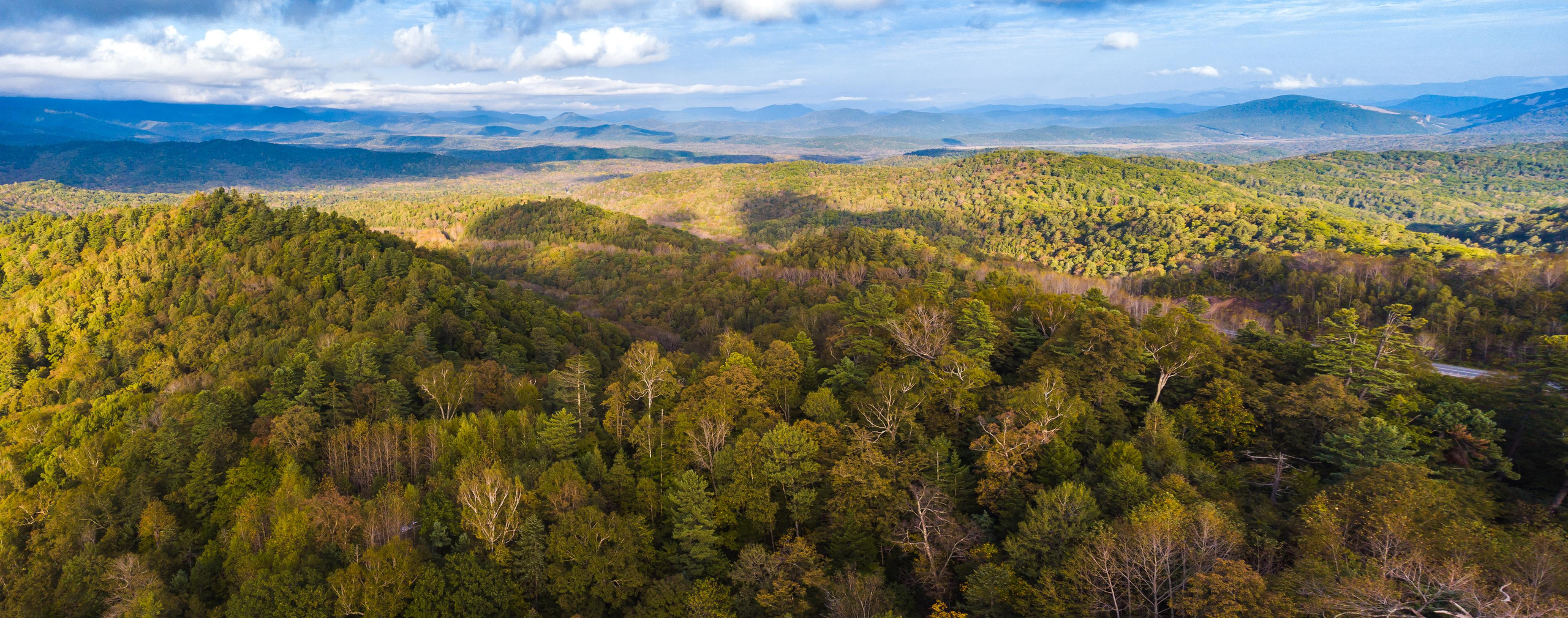 Аэросъёмка. Фотограф Валентин Кольцов, фотограф владивосток, свадебный фотограф, с
