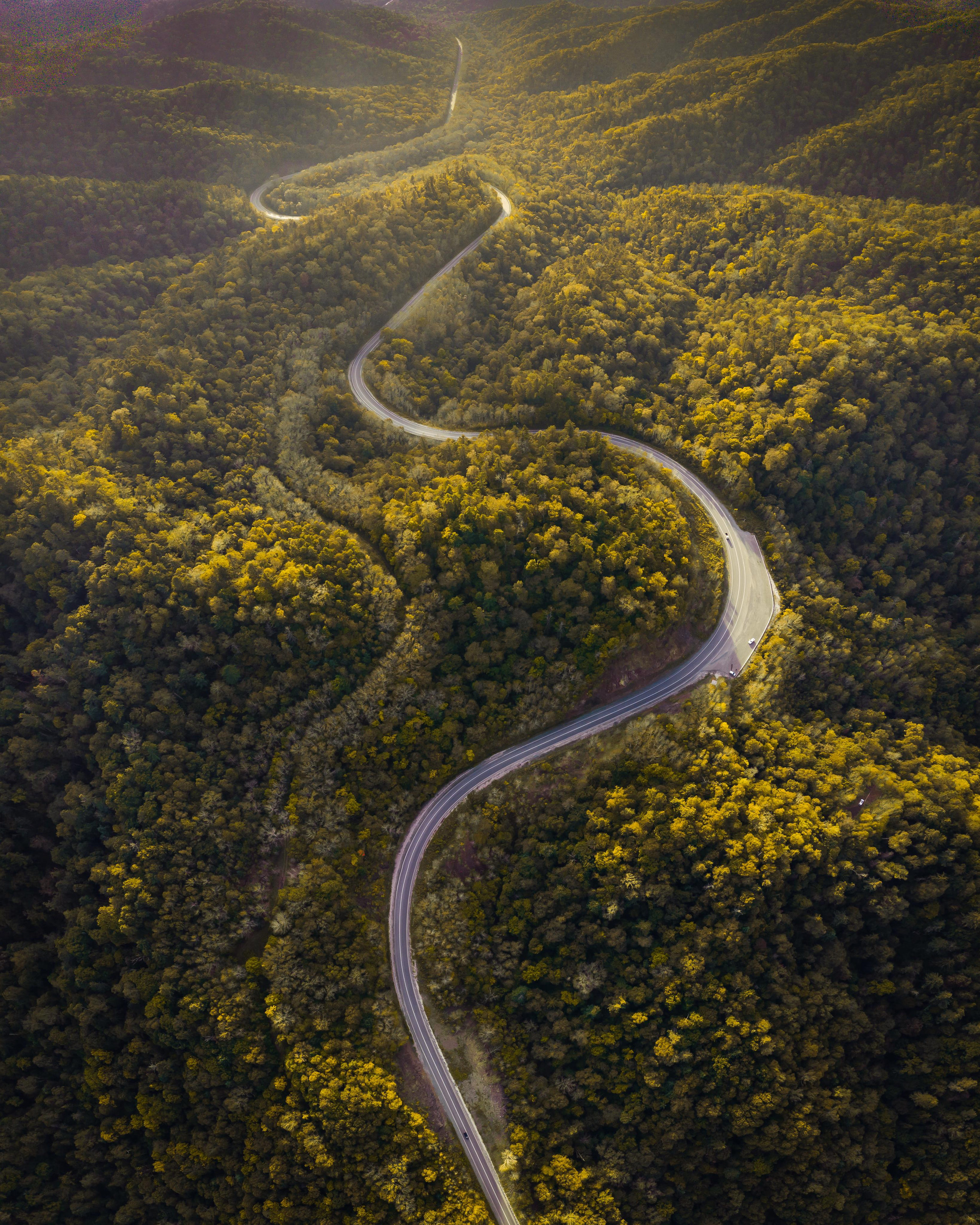 Аэросъёмка. Фотограф Валентин Кольцов, фотограф владивосток, свадебный фотограф, с