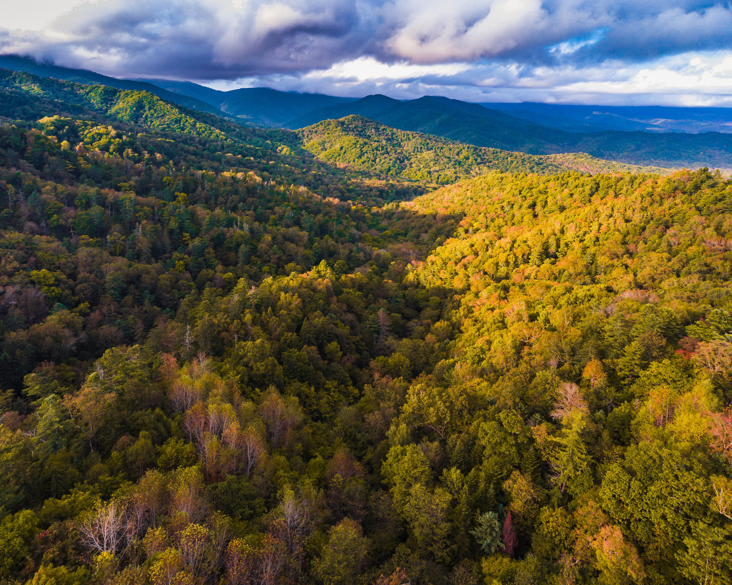 Аэросъёмка. Фотограф Валентин Кольцов, фотограф владивосток, свадебный фотограф, с