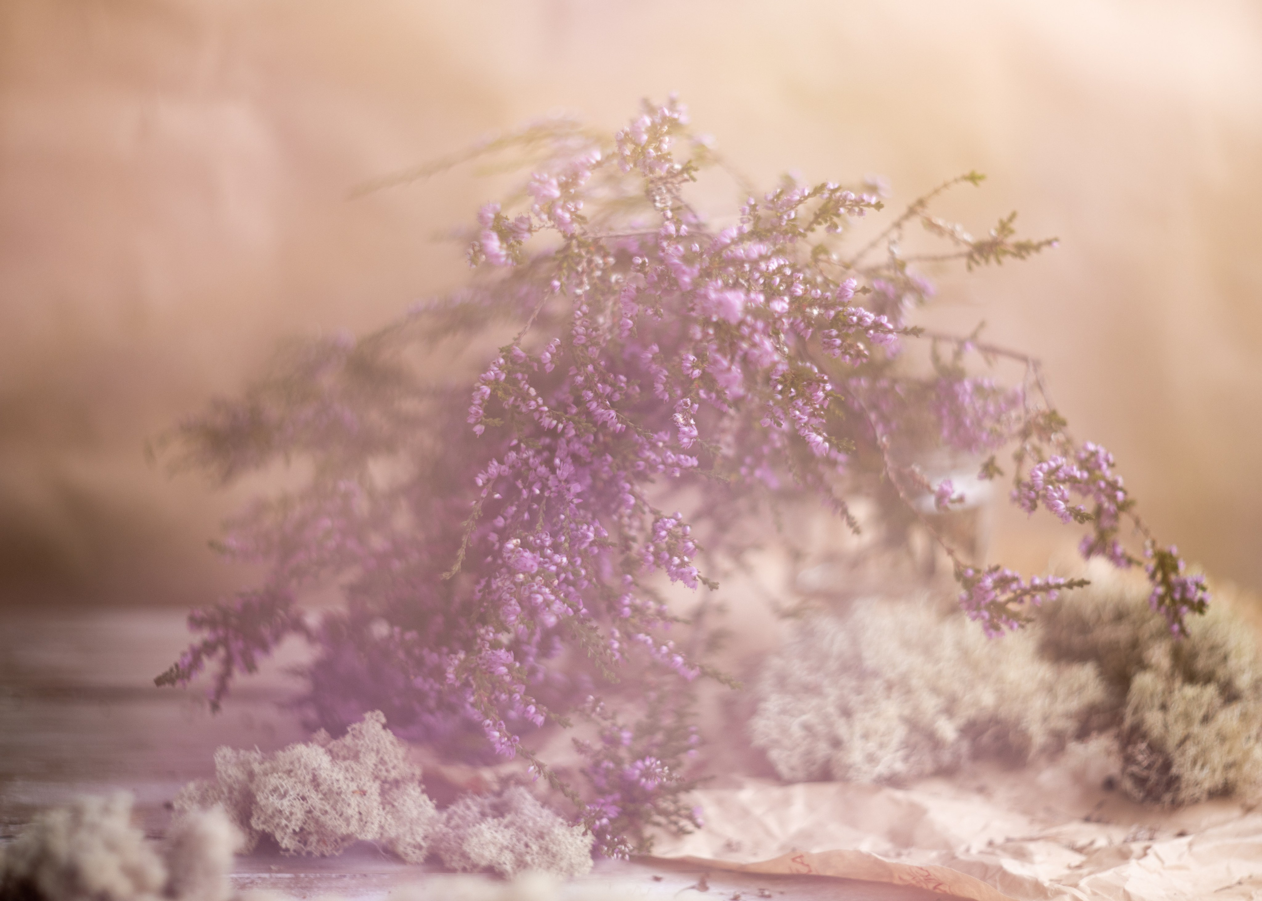 Фотографии — участники выставок и публикации. Портретный и свадебный фотограф в Пушкине и Санкт-Петербурге