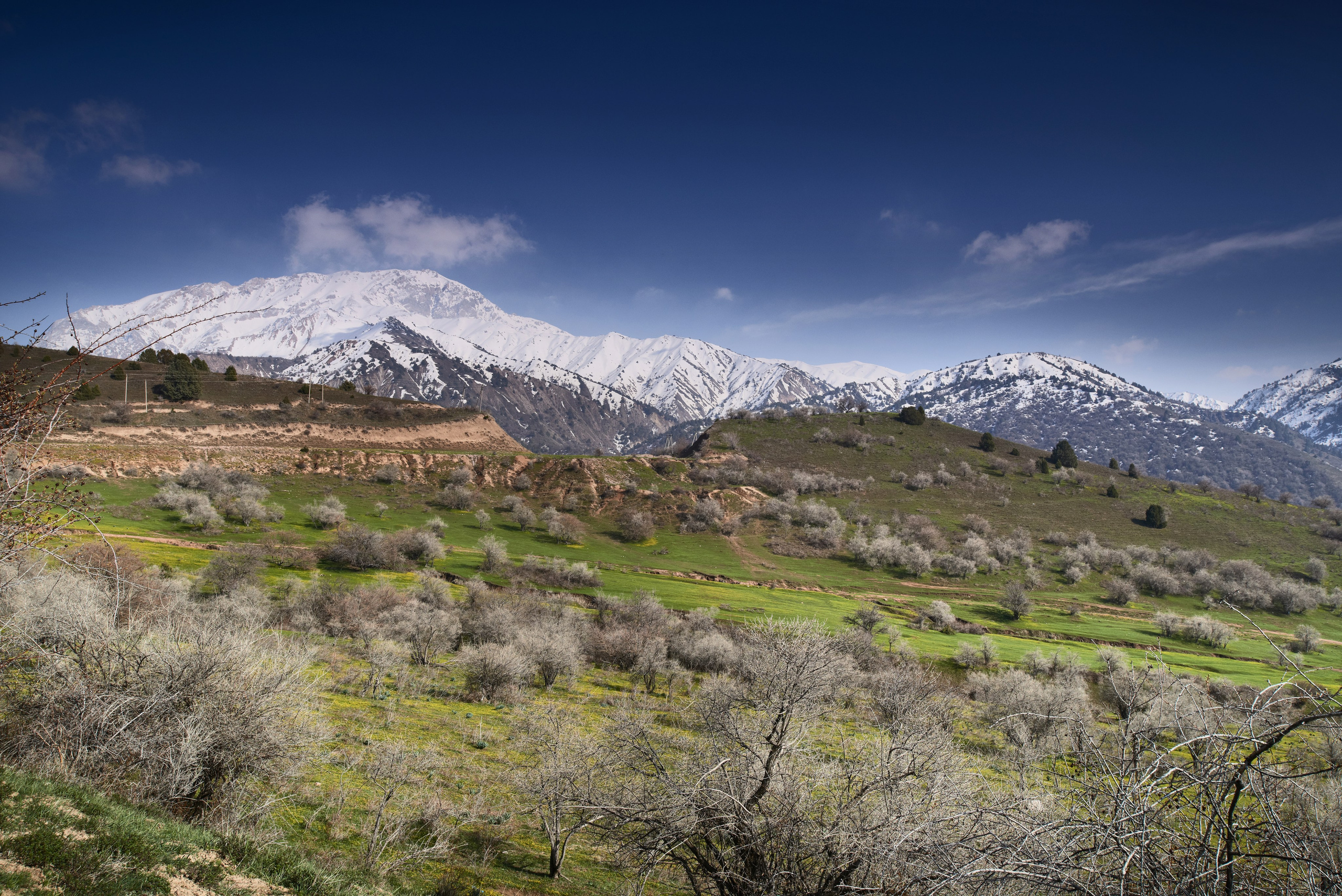 ПРИРОДА ПУТЕШЕСТВИЯ. Www.apowerstudio.com