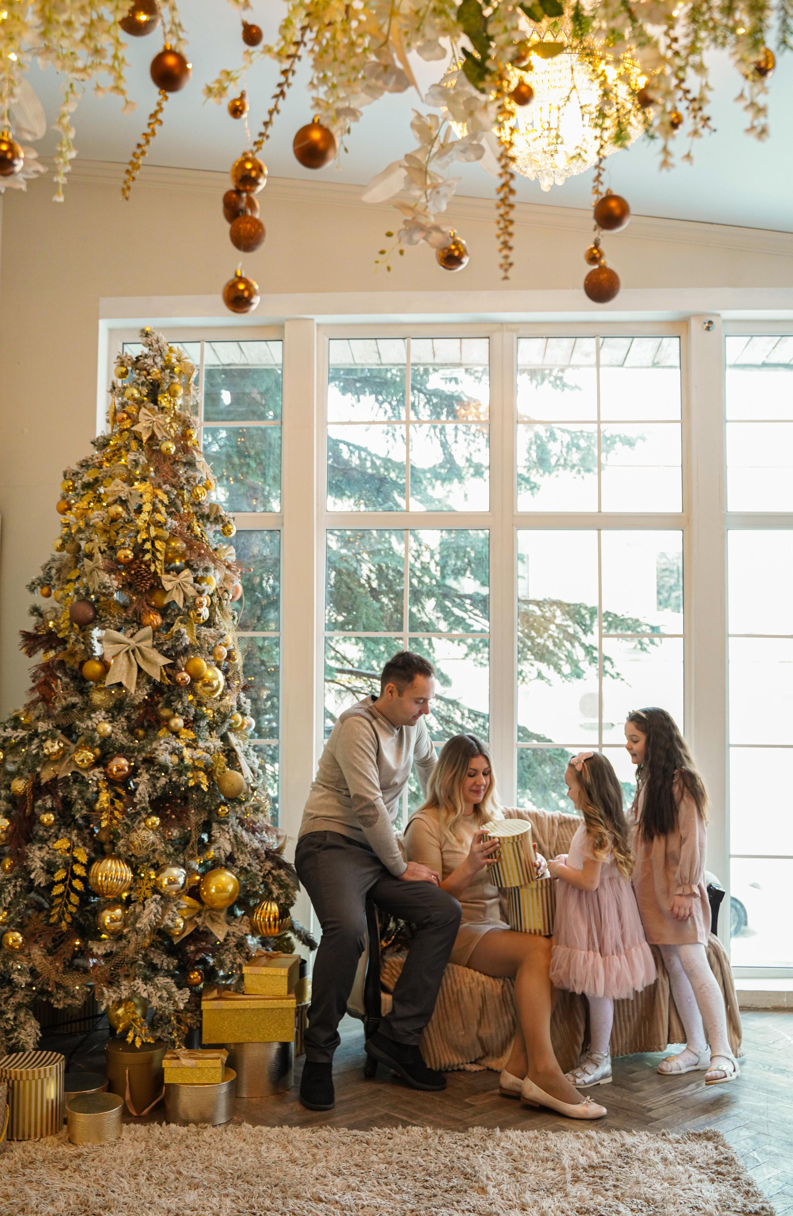 Фотосессия новогодняя. Главная