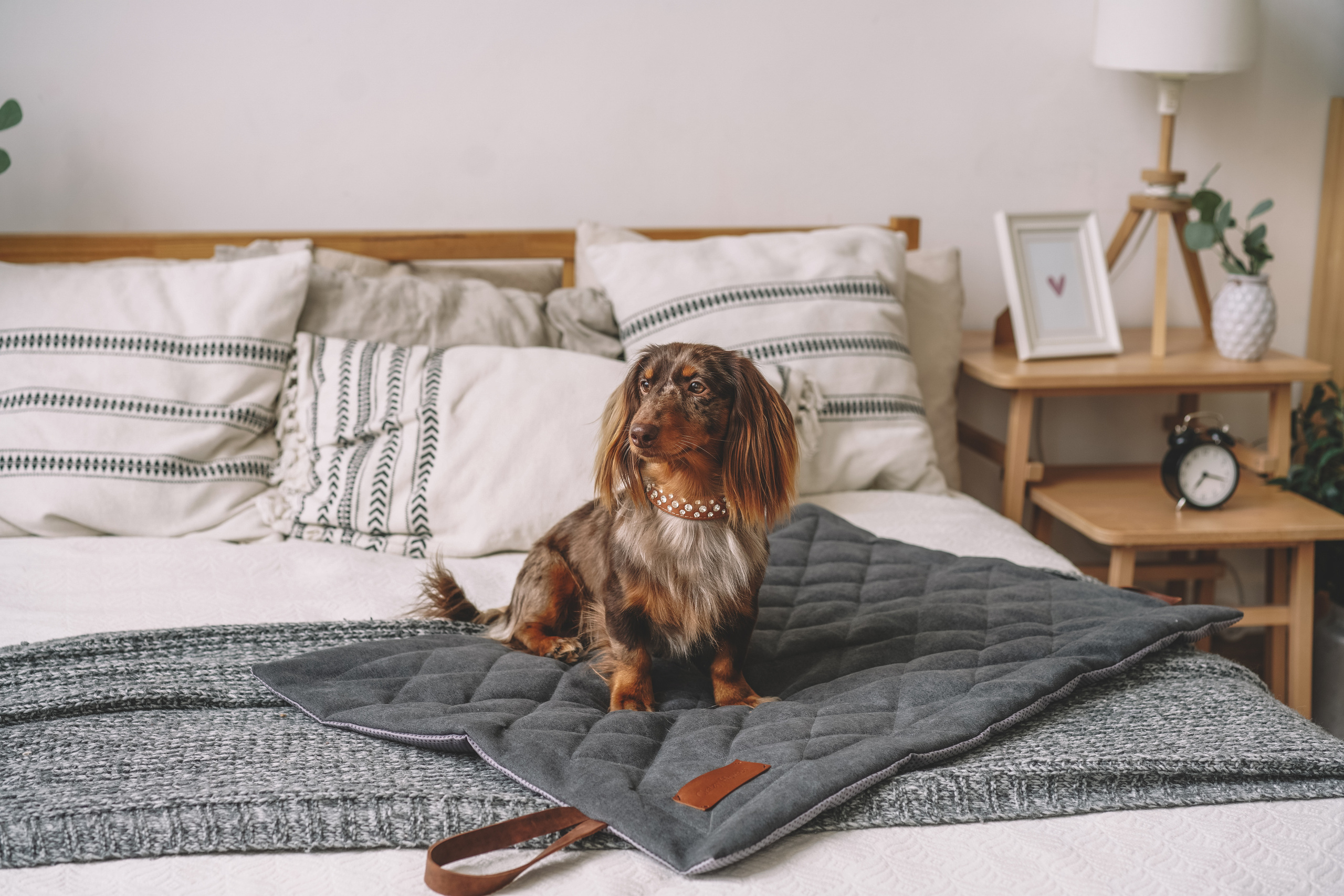 Лежанки для собак H-Pony. Главная