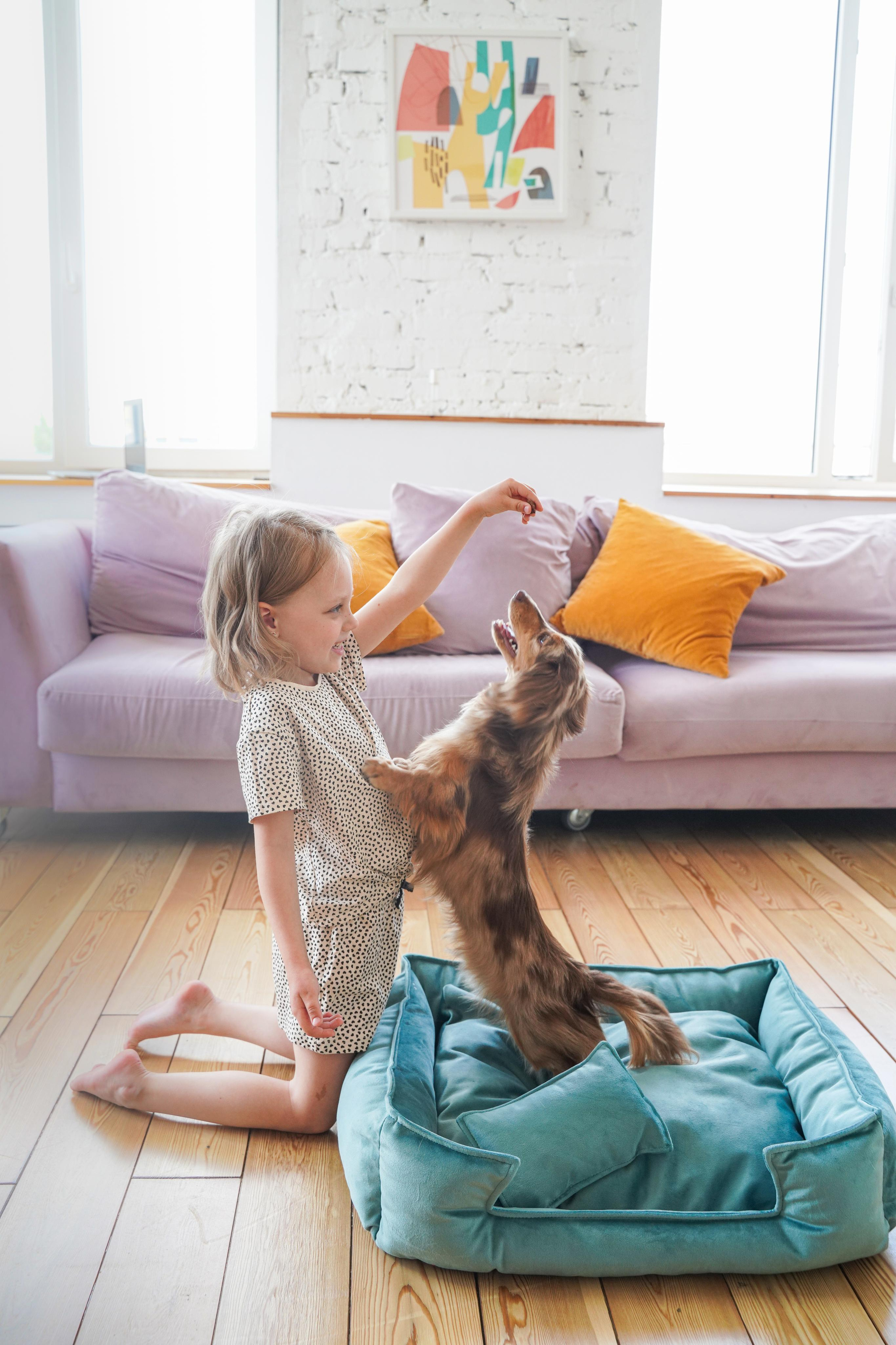 Лежанки для собак FRIENDS FOREVER. Главная