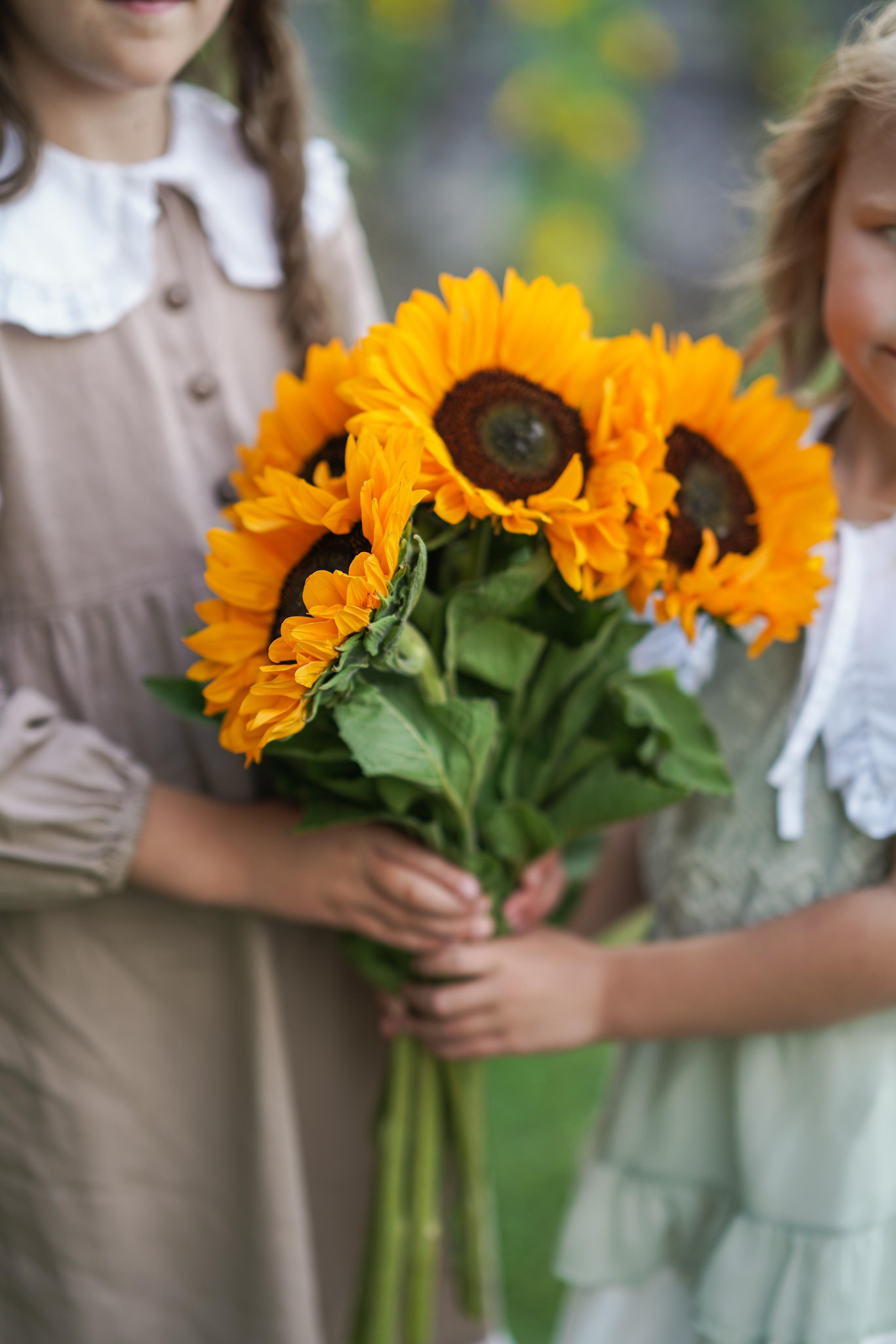 Семейная фотосессия с подсолнухами. Главная