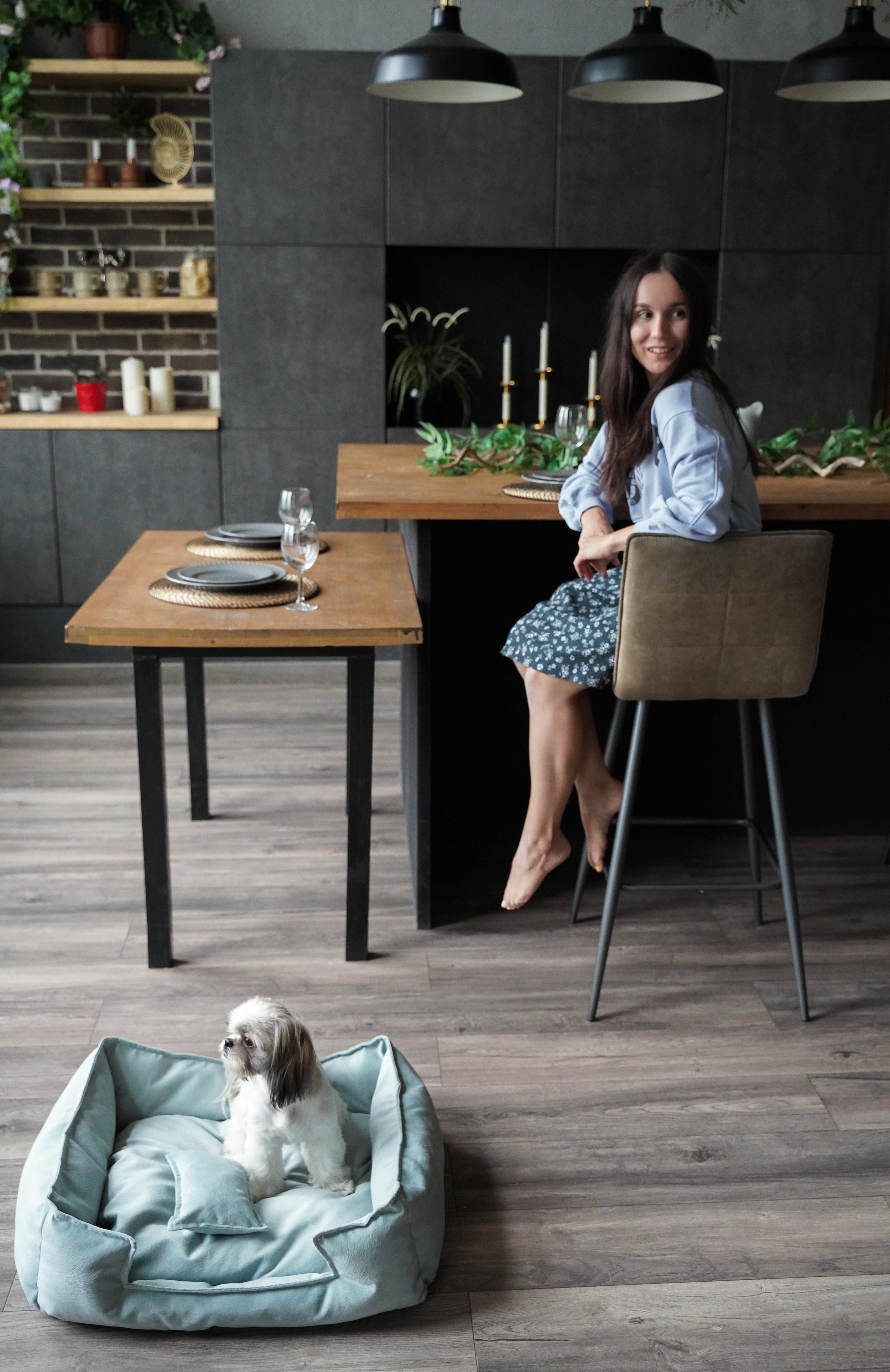 Лежанки для собак FRIENDS FOREVER. Главная