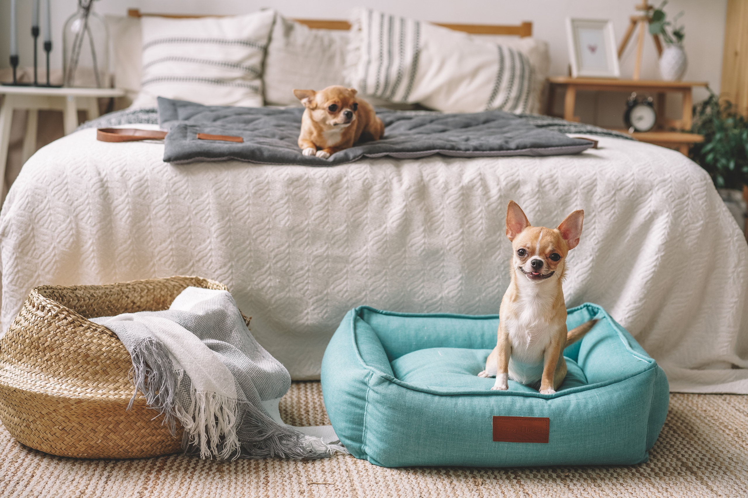 Лежанки для собак H-Pony. Главная