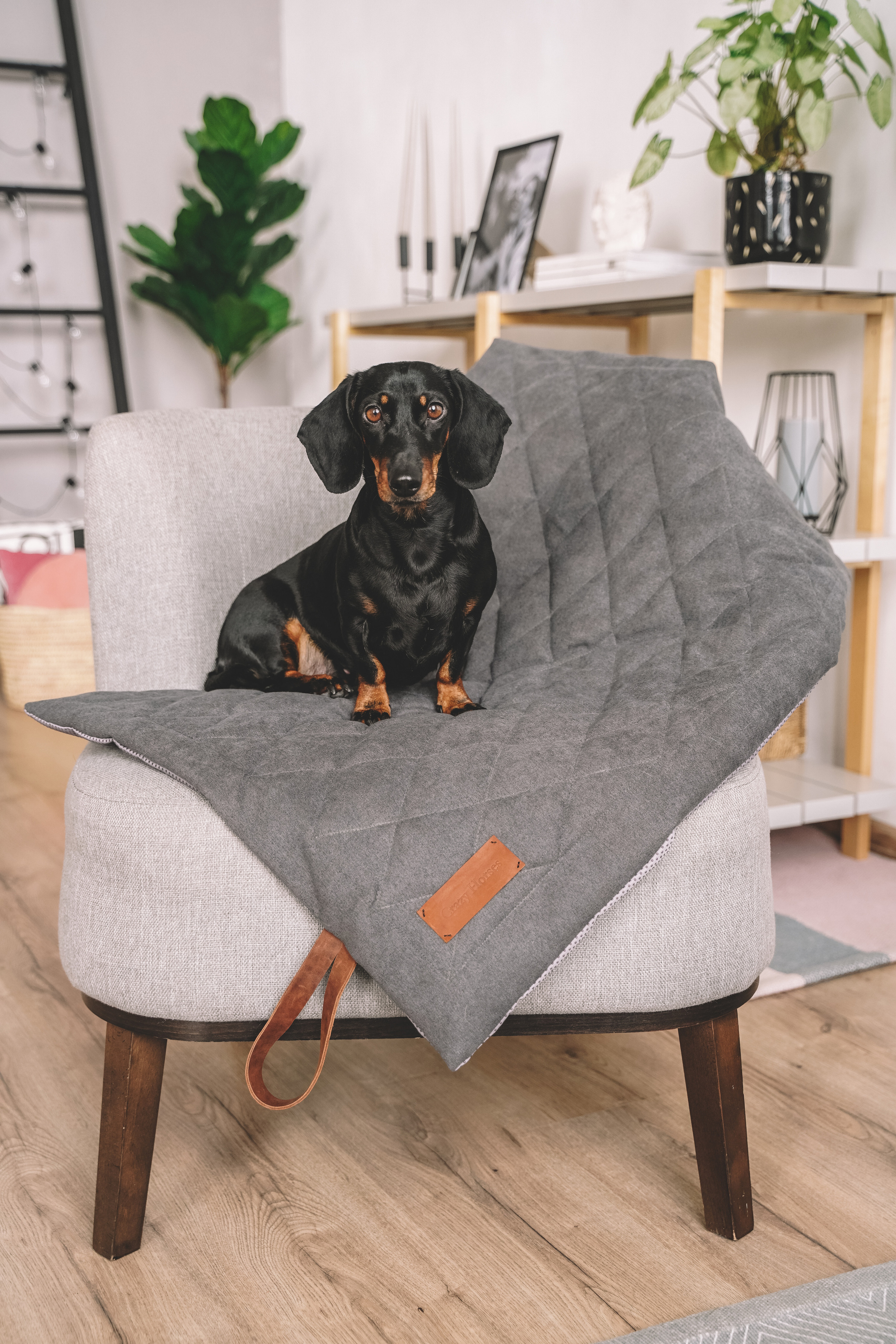 Лежанки для собак H-Pony. Главная