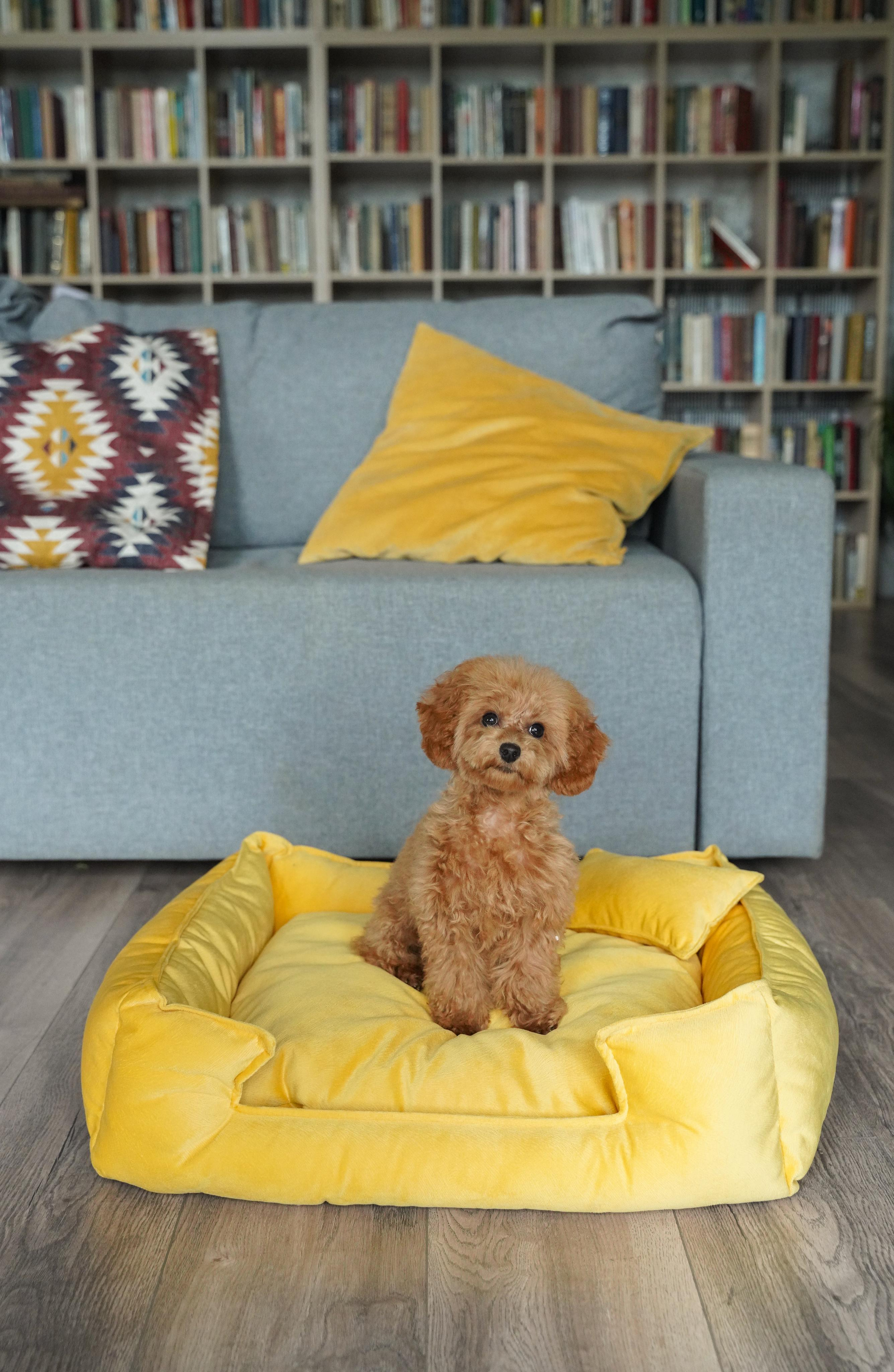 Лежанки для собак FRIENDS FOREVER. Главная