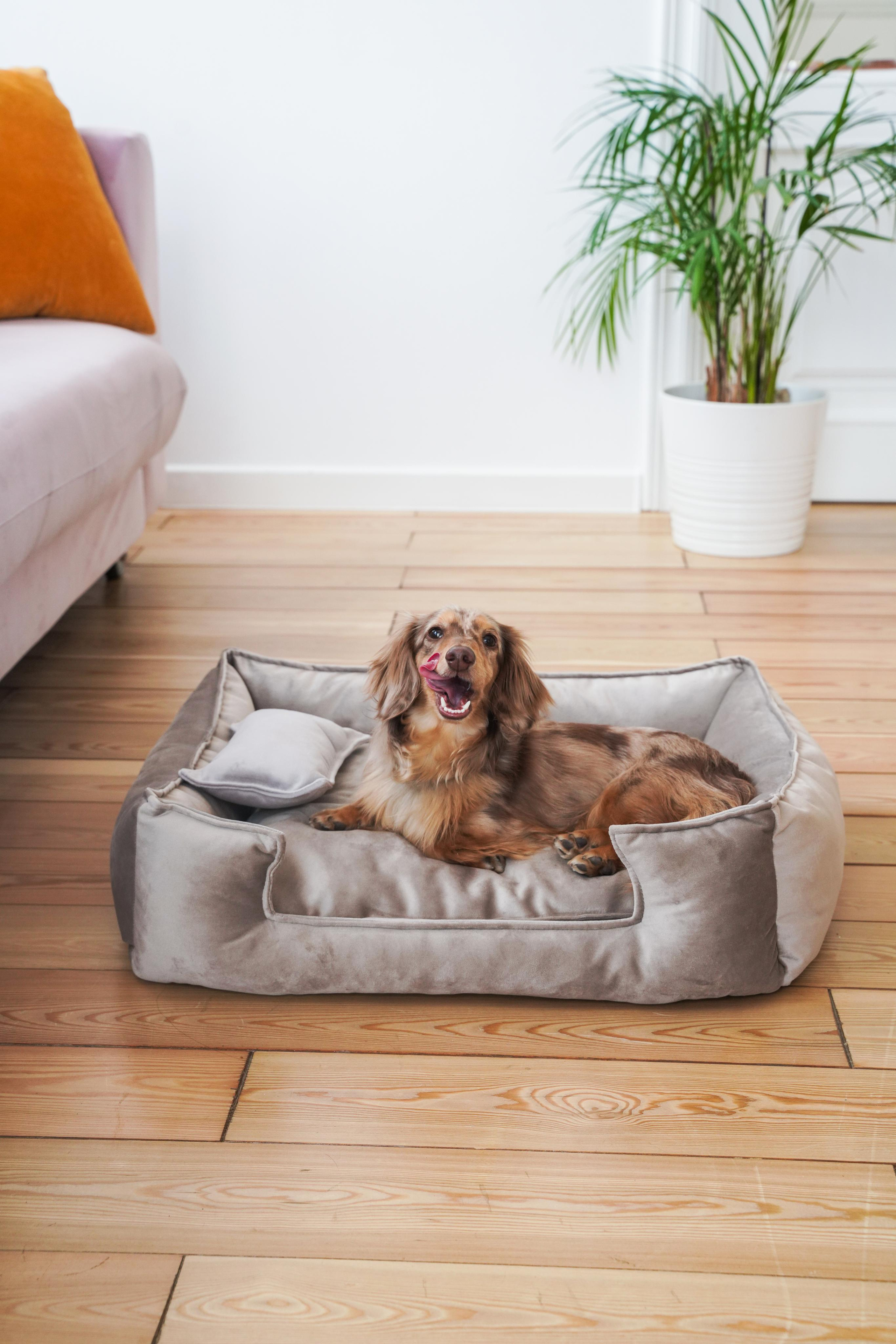 Лежанки для собак FRIENDS FOREVER. Главная