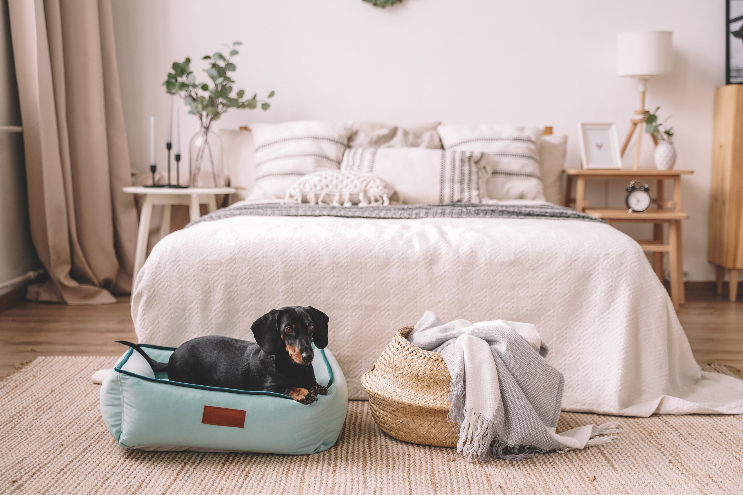 Лежанки для собак H-Pony. Главная