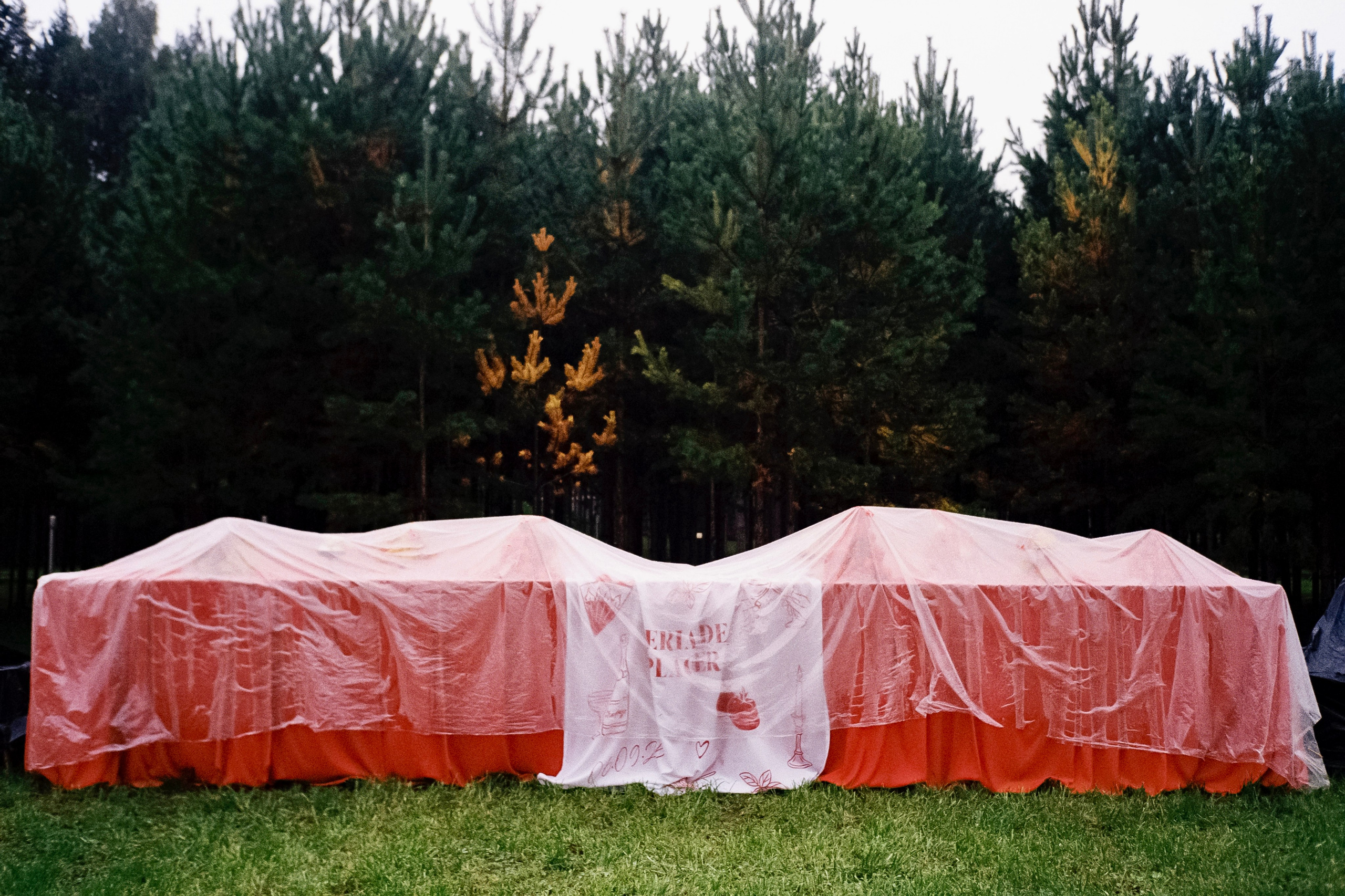 Пленка. Фотограф Андрей Куськало