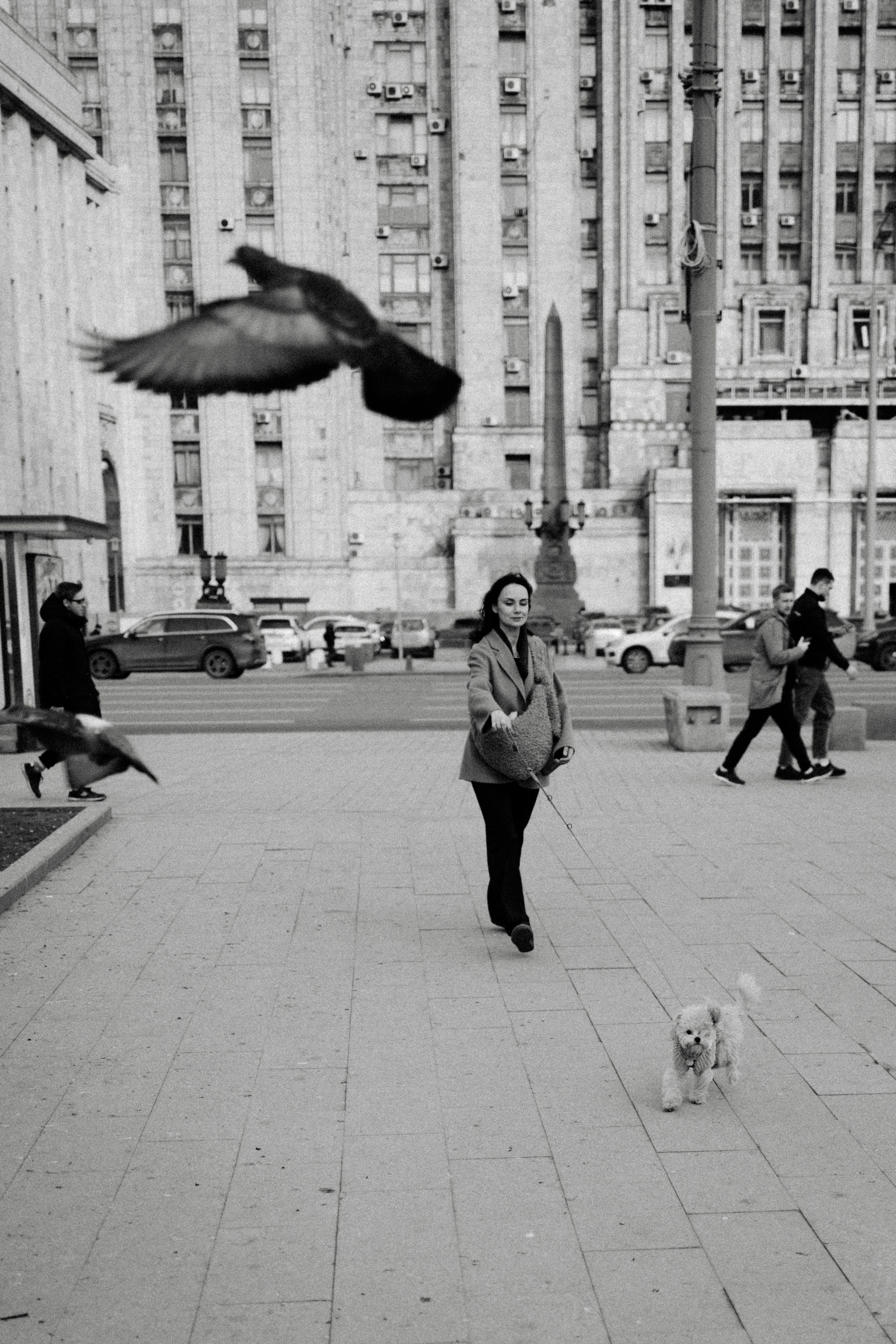 Маша, Лиза и Луна. Фотораф — анималист Мария Шистка
