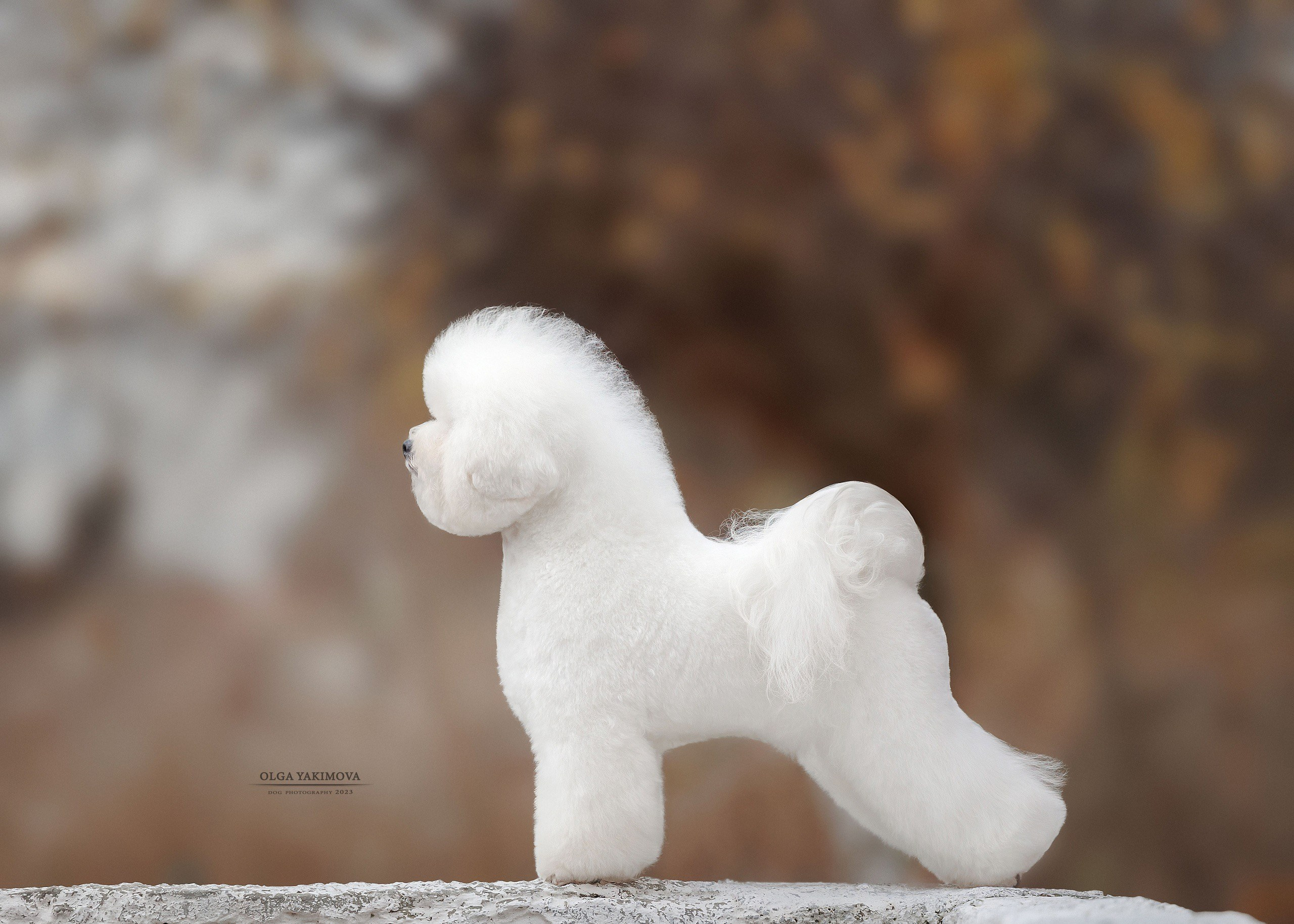 Экстерьер. Фотограф