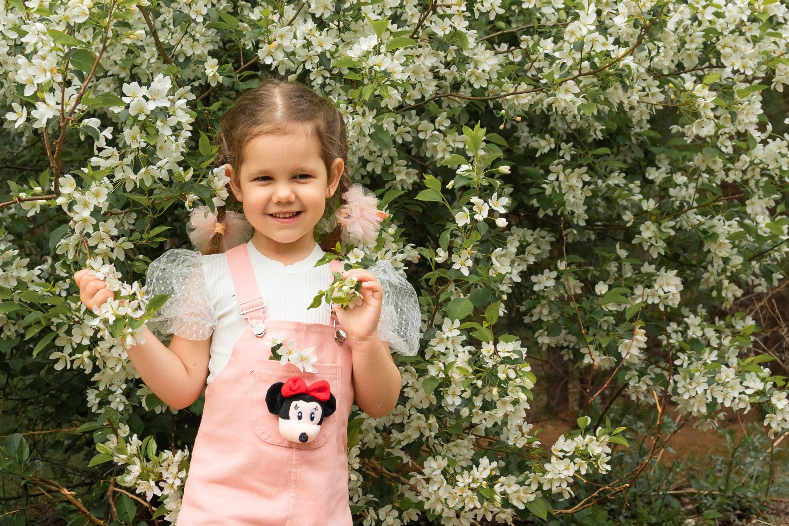 Яблоневый цвет. Фотограф в Томске Евгения Гуляева