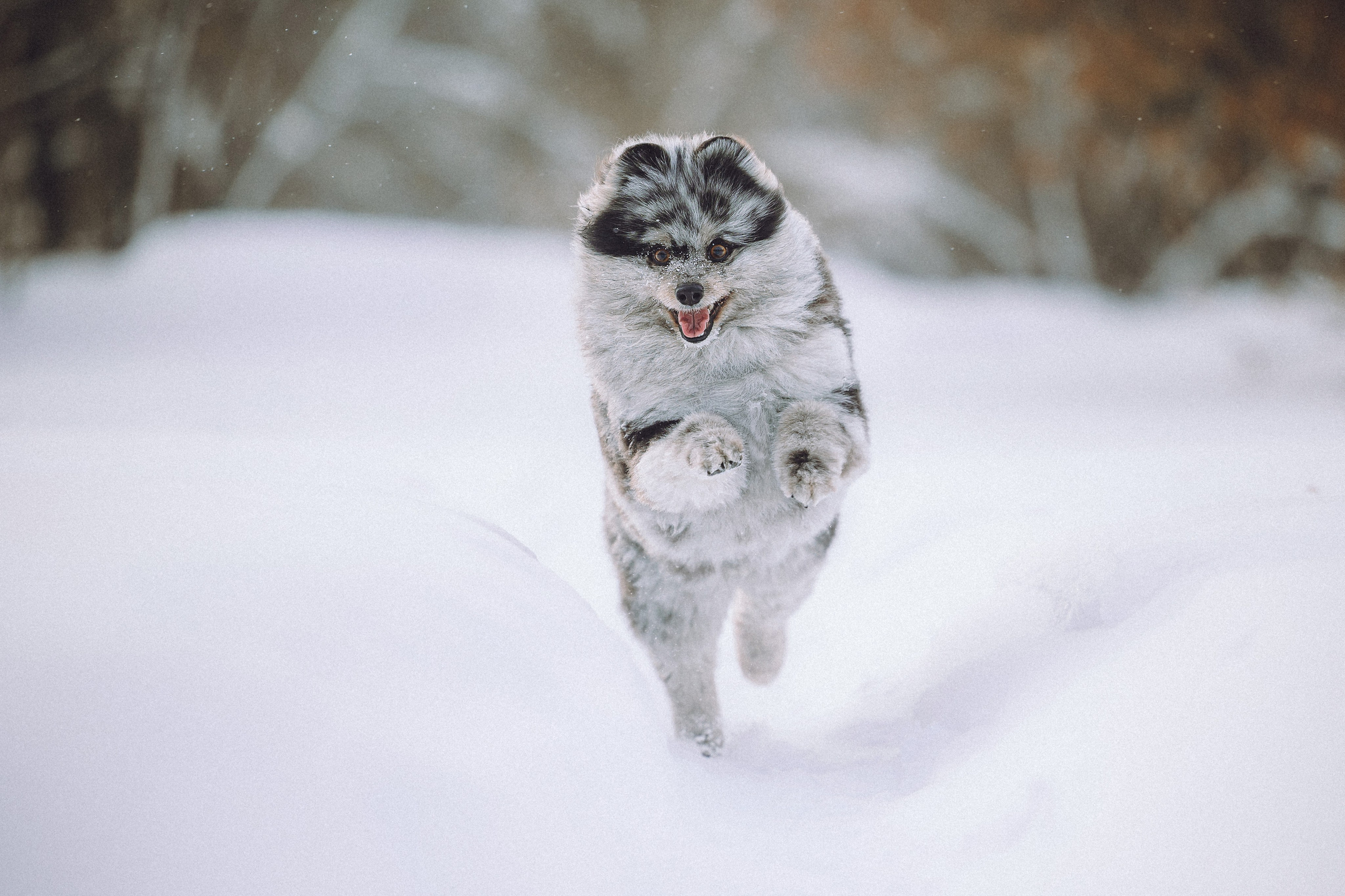 Любава и Марс