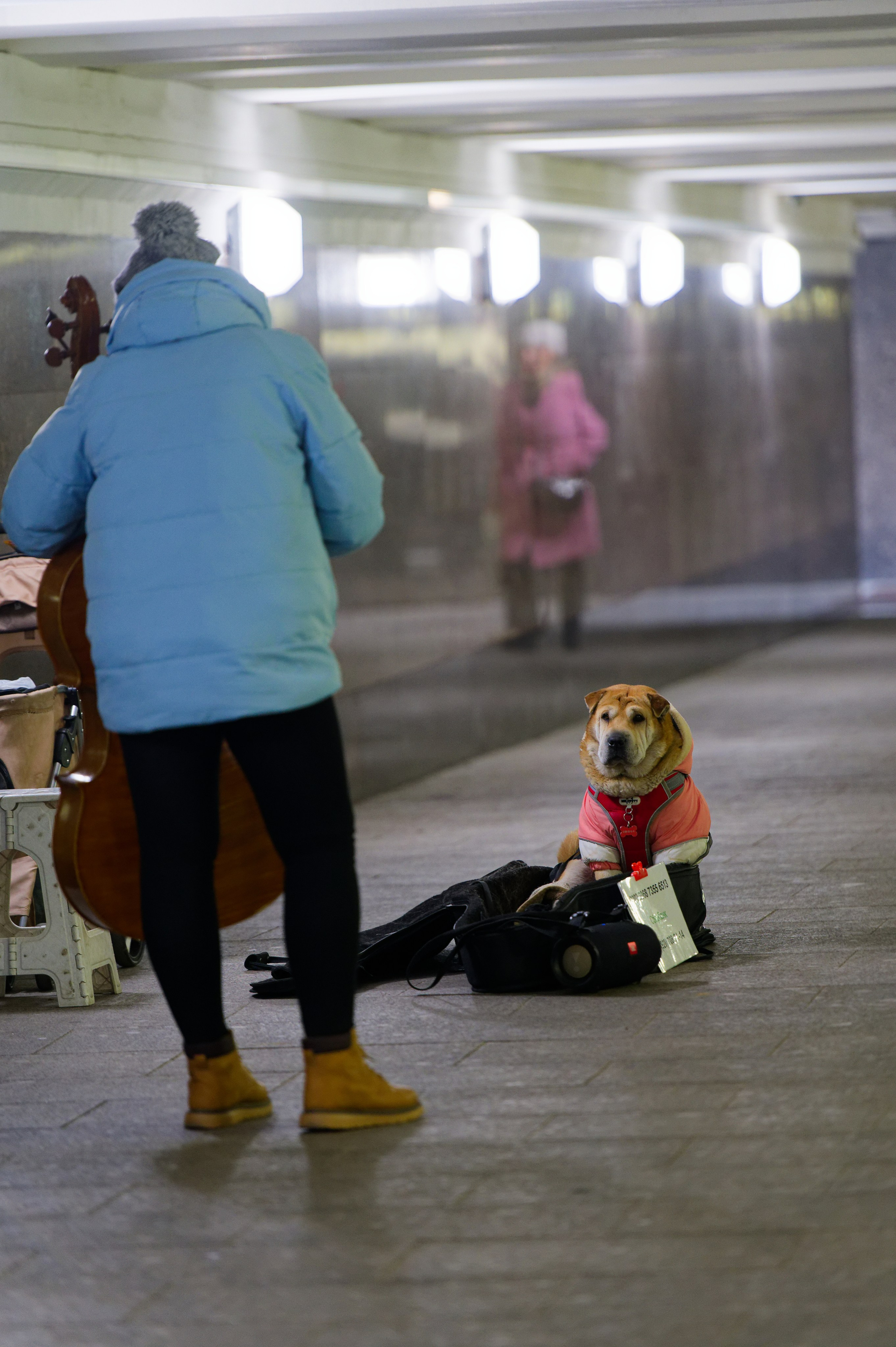 Street. Фотограф в городе Омске Константин Зоткин