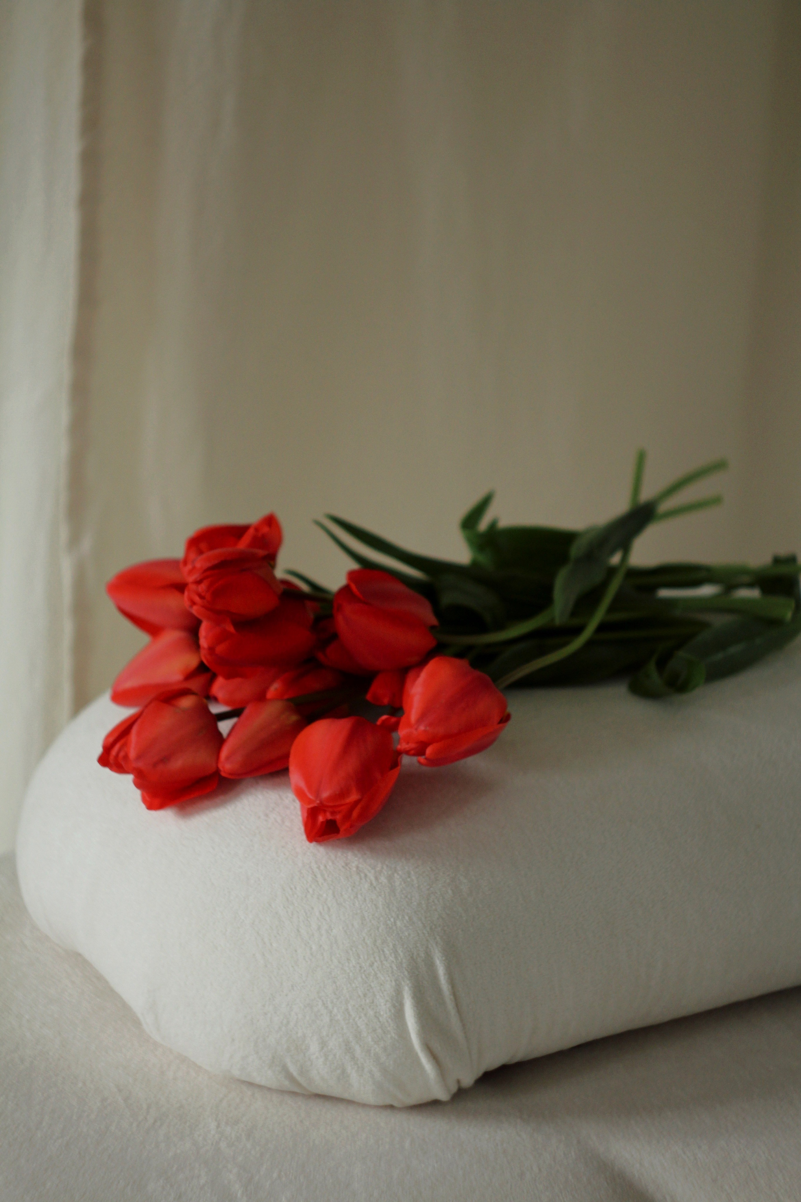 Студия daloni, Аня. Photography Eva