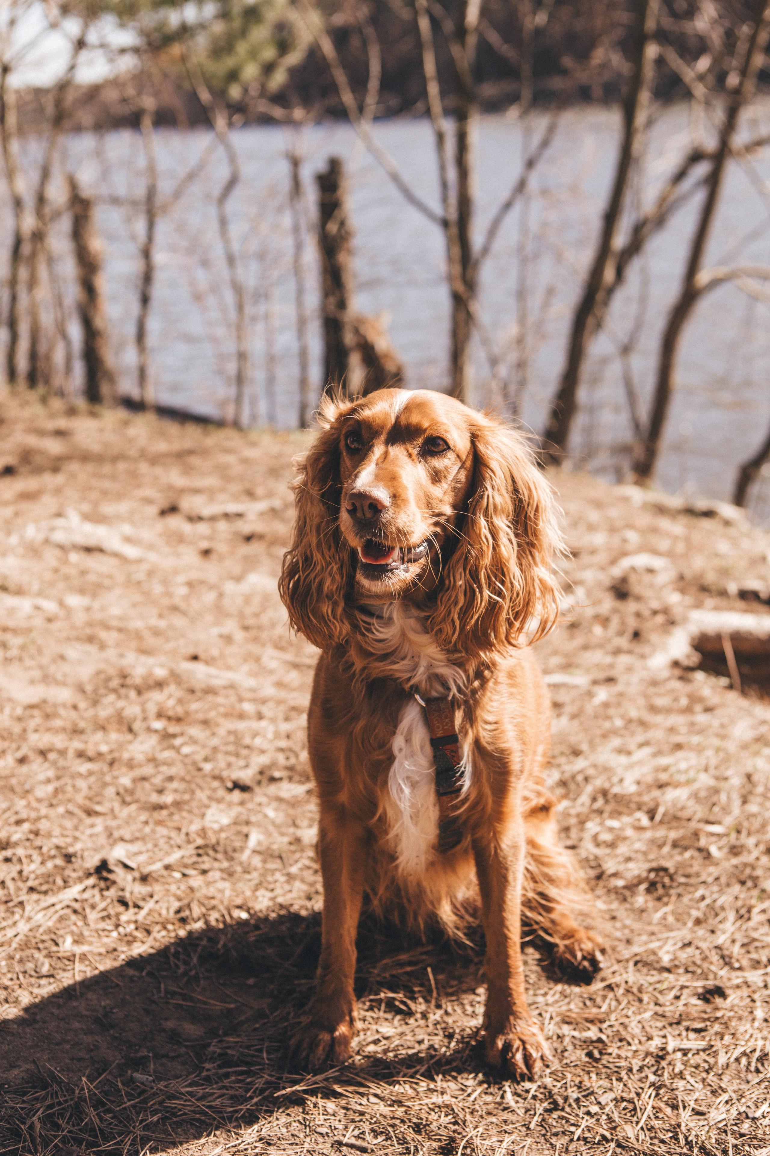 Julia & Jessie. Portrait, family and pet photographer in Cyprus, Ksenia Bourdelle
