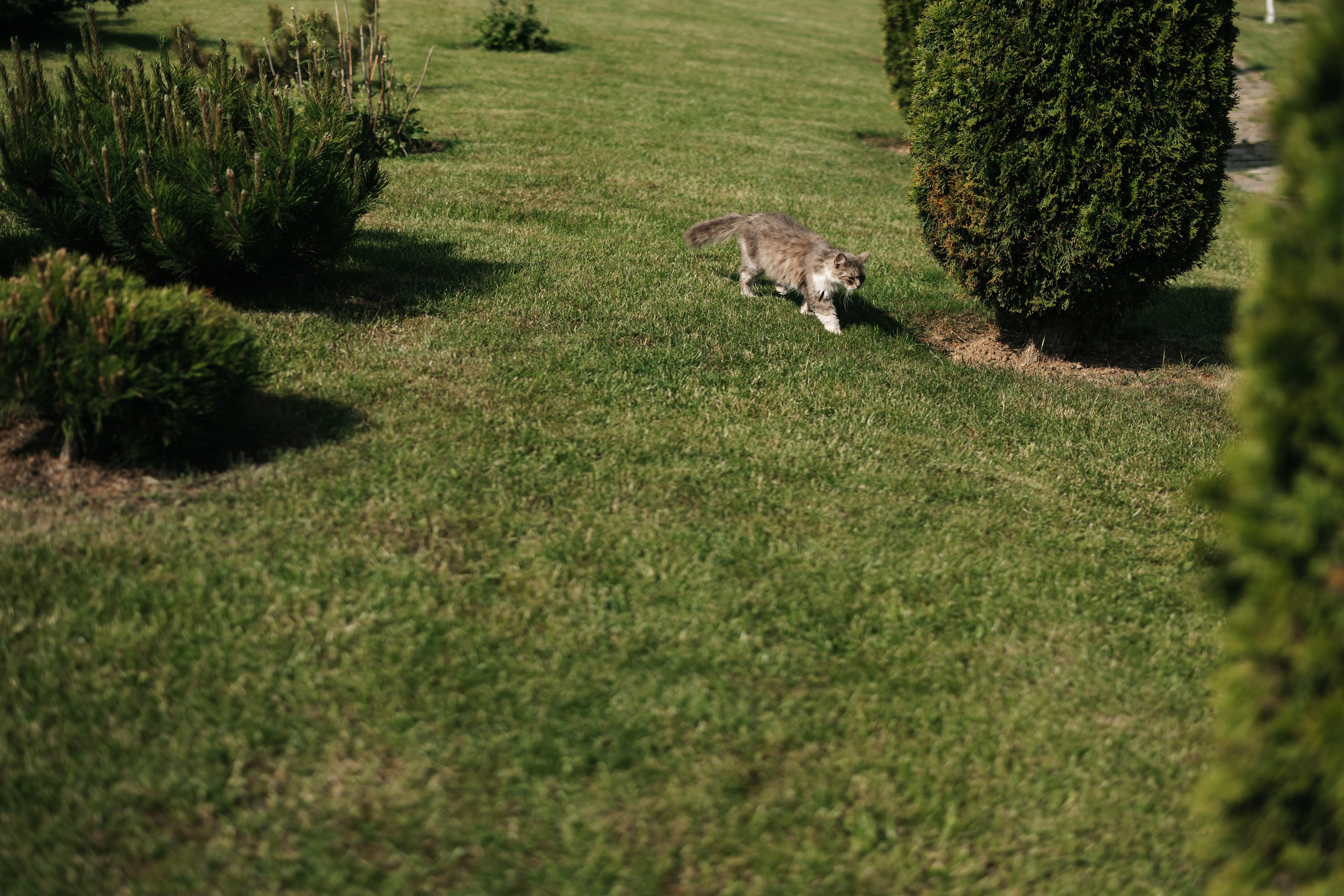 Павел и Анна. Свадебный фотограф Москва Мотеюнайте Виктория