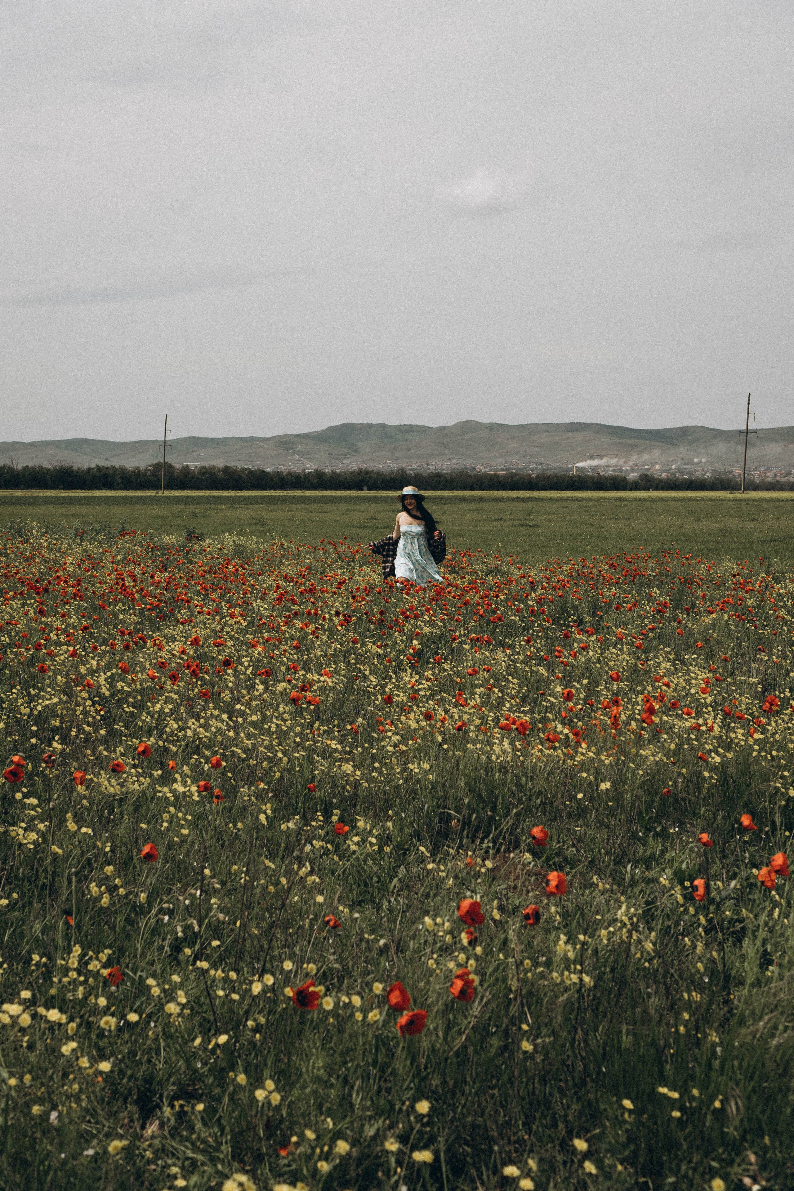Цветочная поляна. Профессиональный фотограф, Санкт-Петербург — Виктория Богомолова