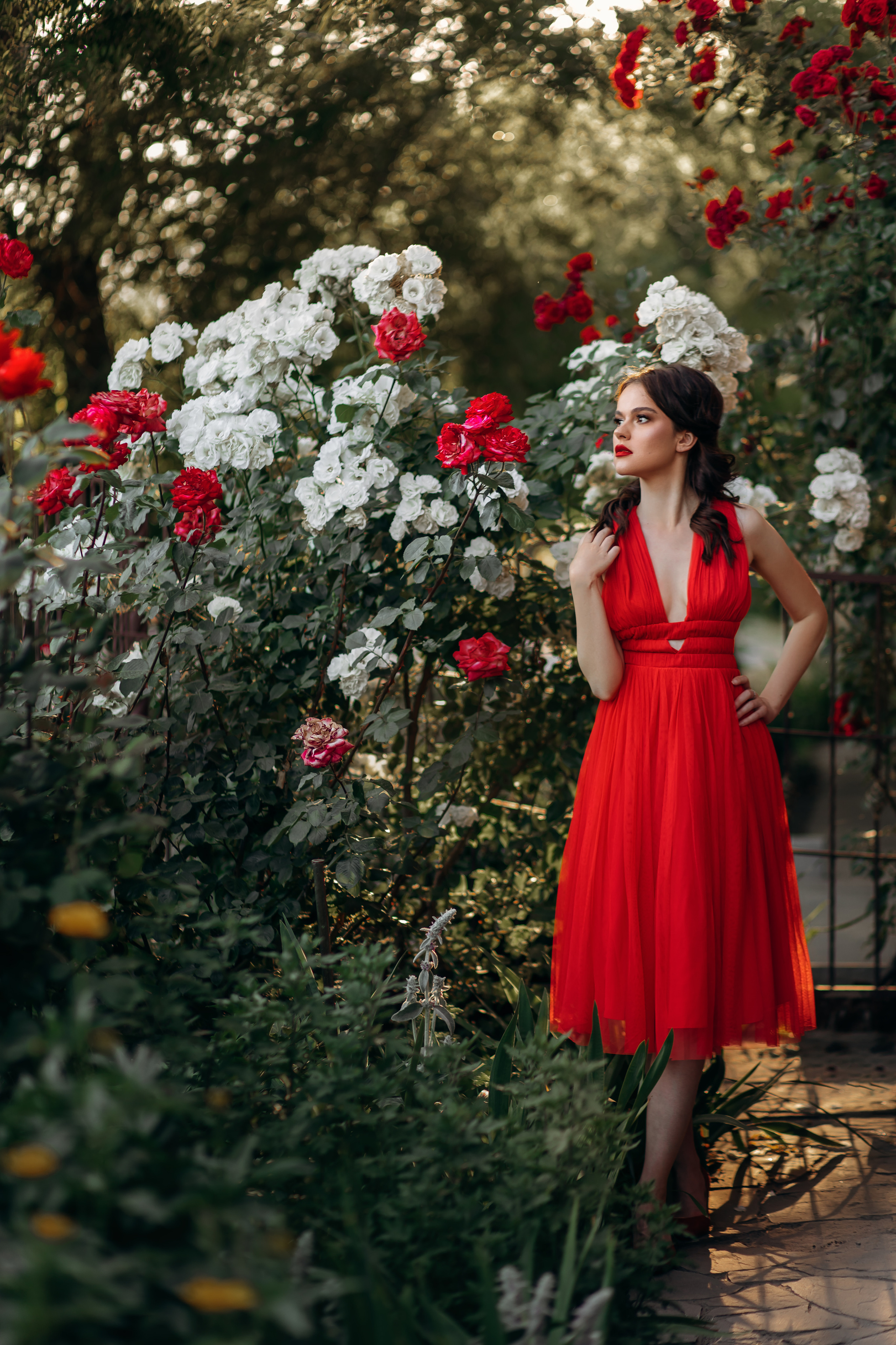 Розы. Свадебный и женский фотограф в Таганроге Лена Сетян