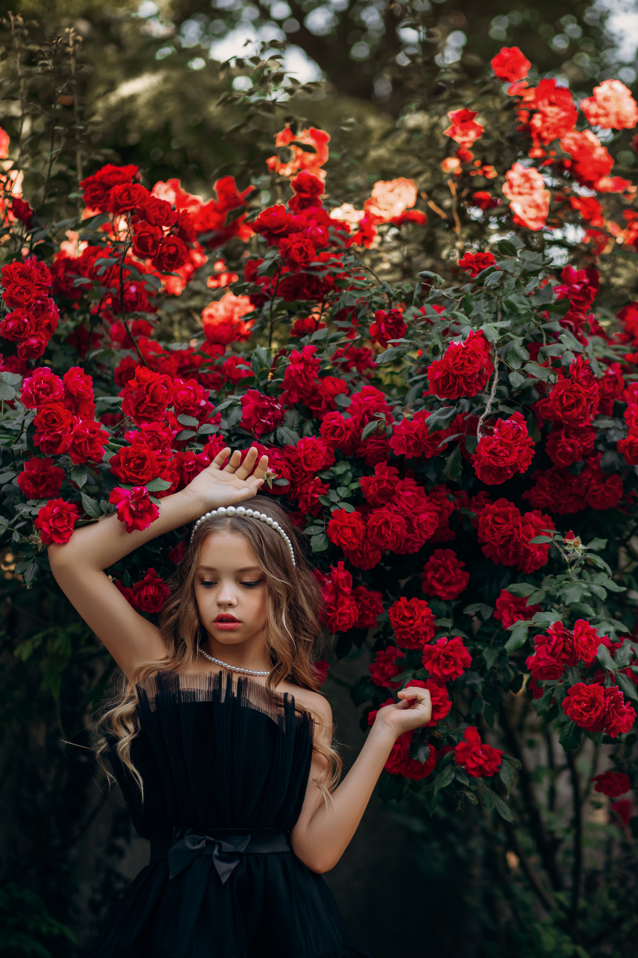 Розы. Свадебный и женский фотограф в Таганроге Лена Сетян