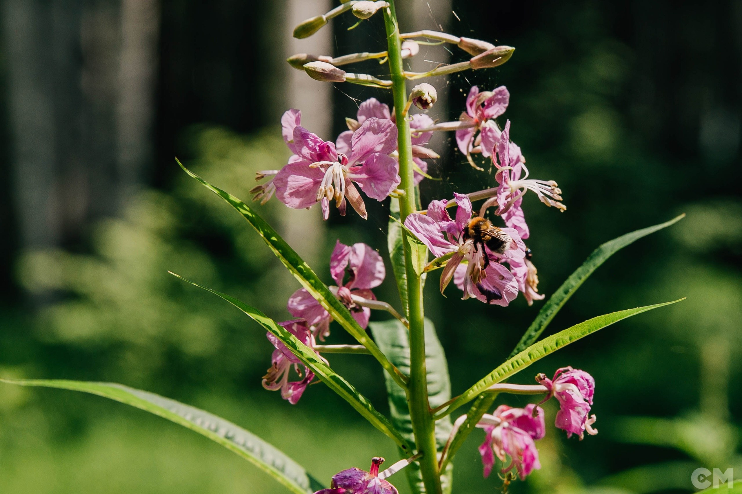 Летняя школа студенческого актива PROFДВИЖЕНИЕ. Фотограф в Иркутске Настя Гаськова