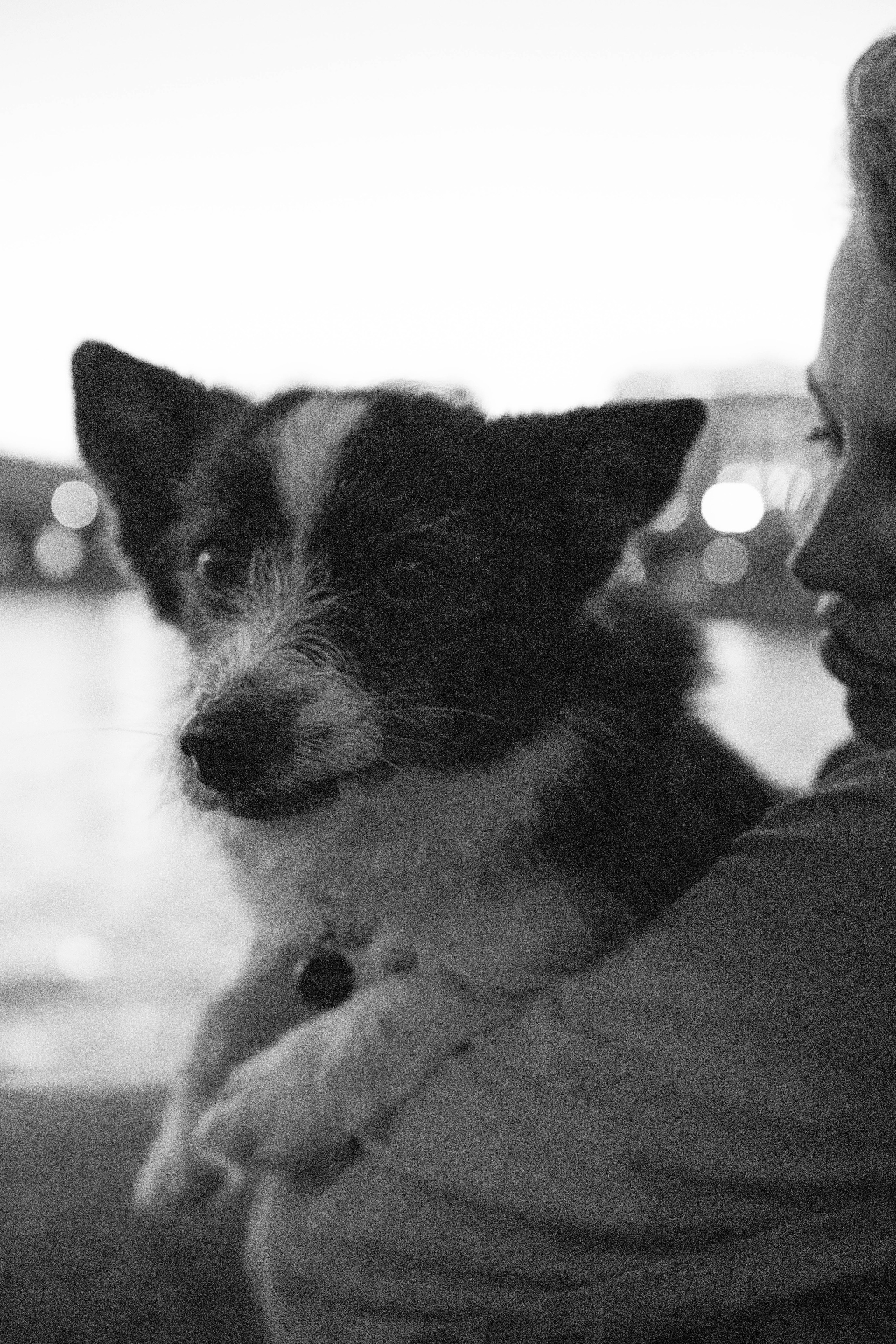 Даша и Тюбик. Фотограф-анималист Ксения Воробьева, Москва