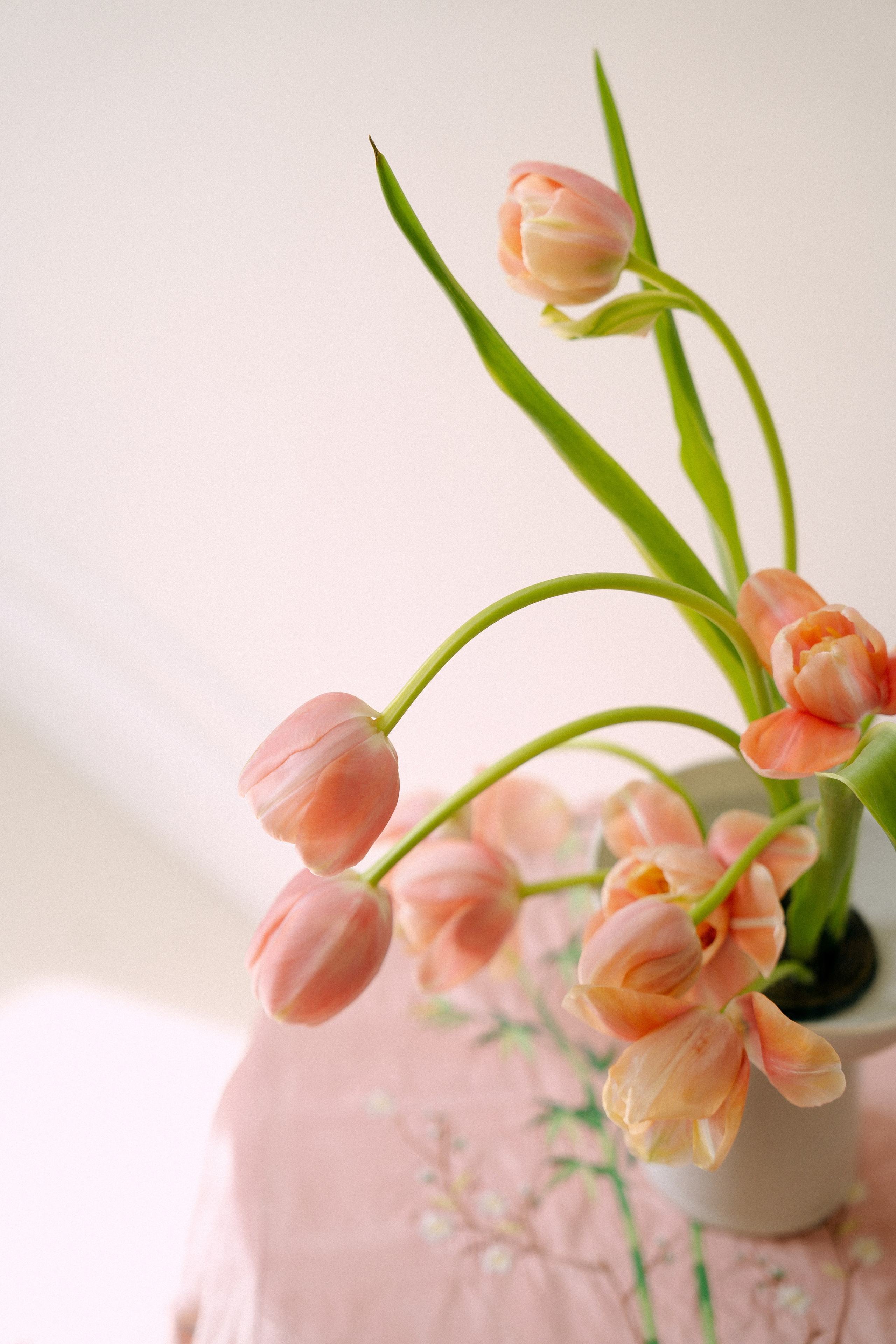 MASHA. Фотограф с психологическим образованием