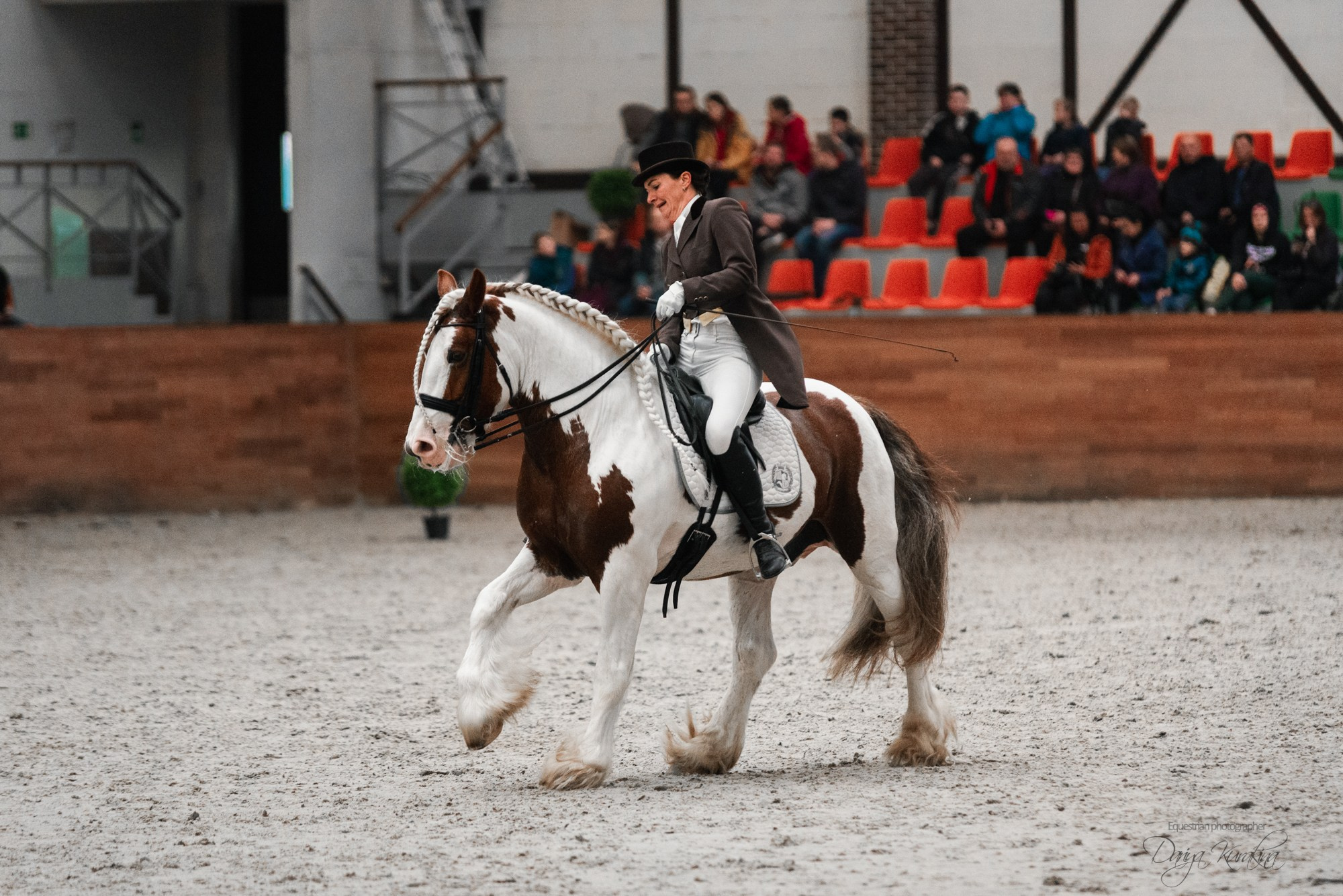 8-я международная выставка Конная Россия. Конный фотограф Куракина Дарья • Фотосессии с лошадьми