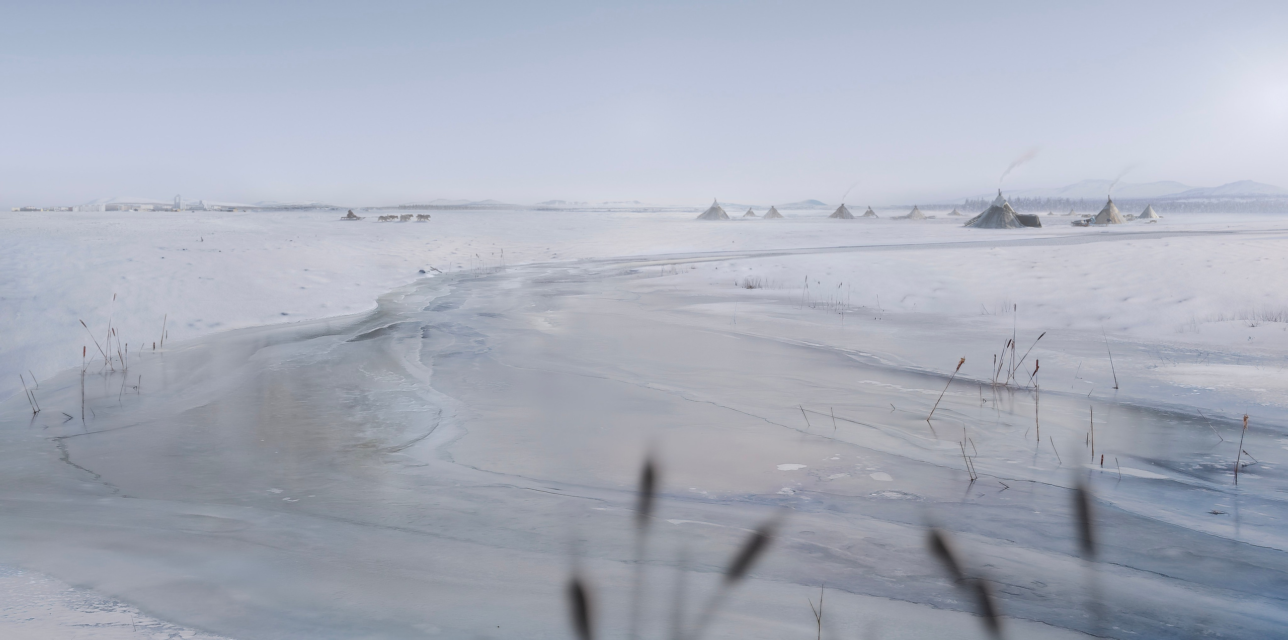 MATTE PAINT. ArtistSOS