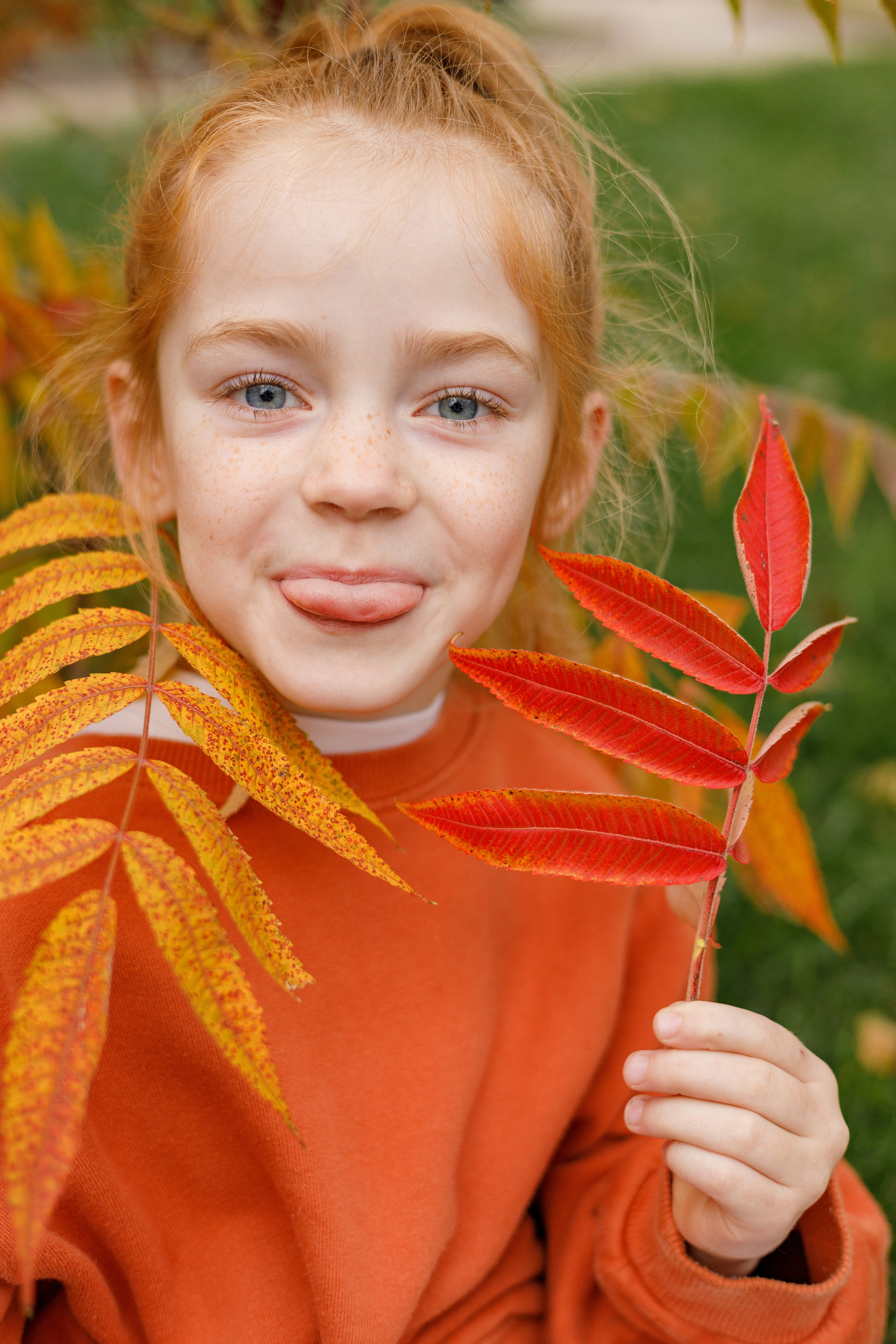 Осень на Юге