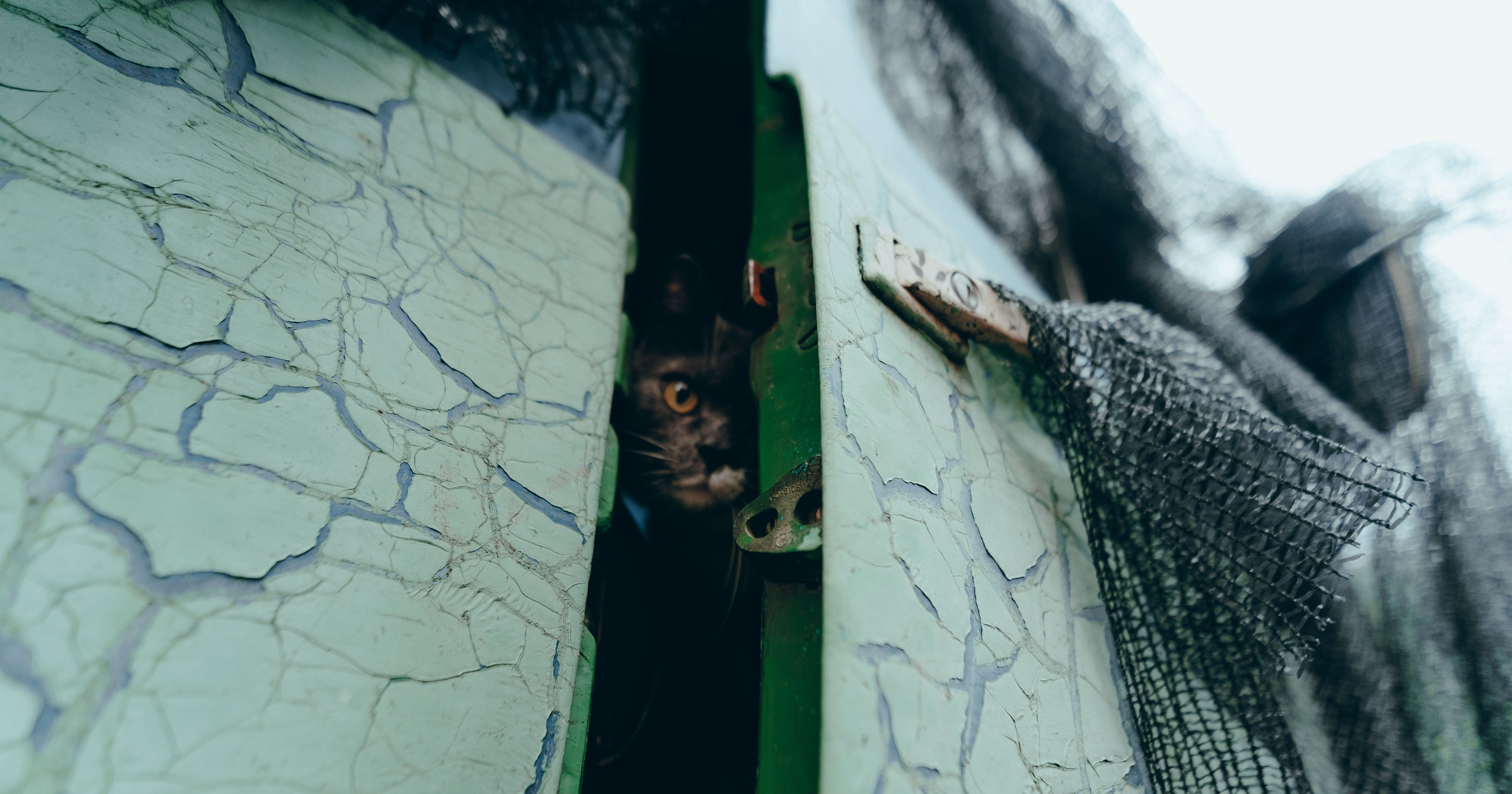 Бессонница 2025. Фотограф Аннё| Москва