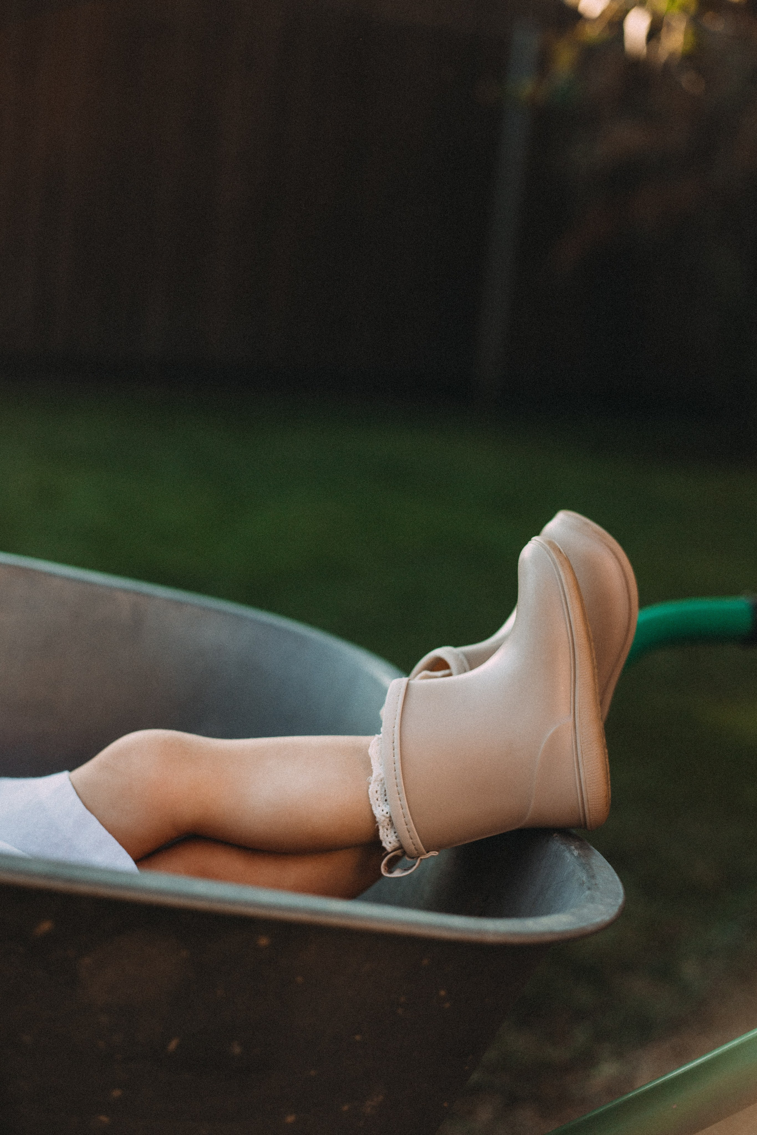 Дача. Главная