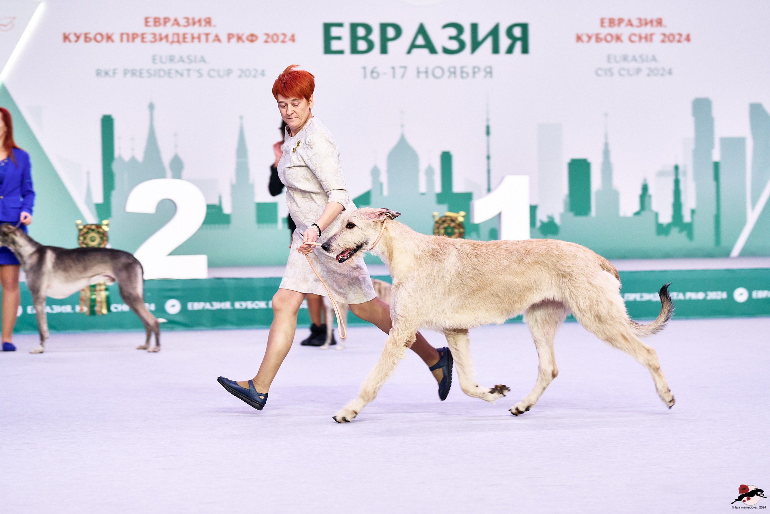 16.11.2024 «ЕВРАЗИЯ. КУБОК ПРЕЗИДЕНТА РКФ 2024»