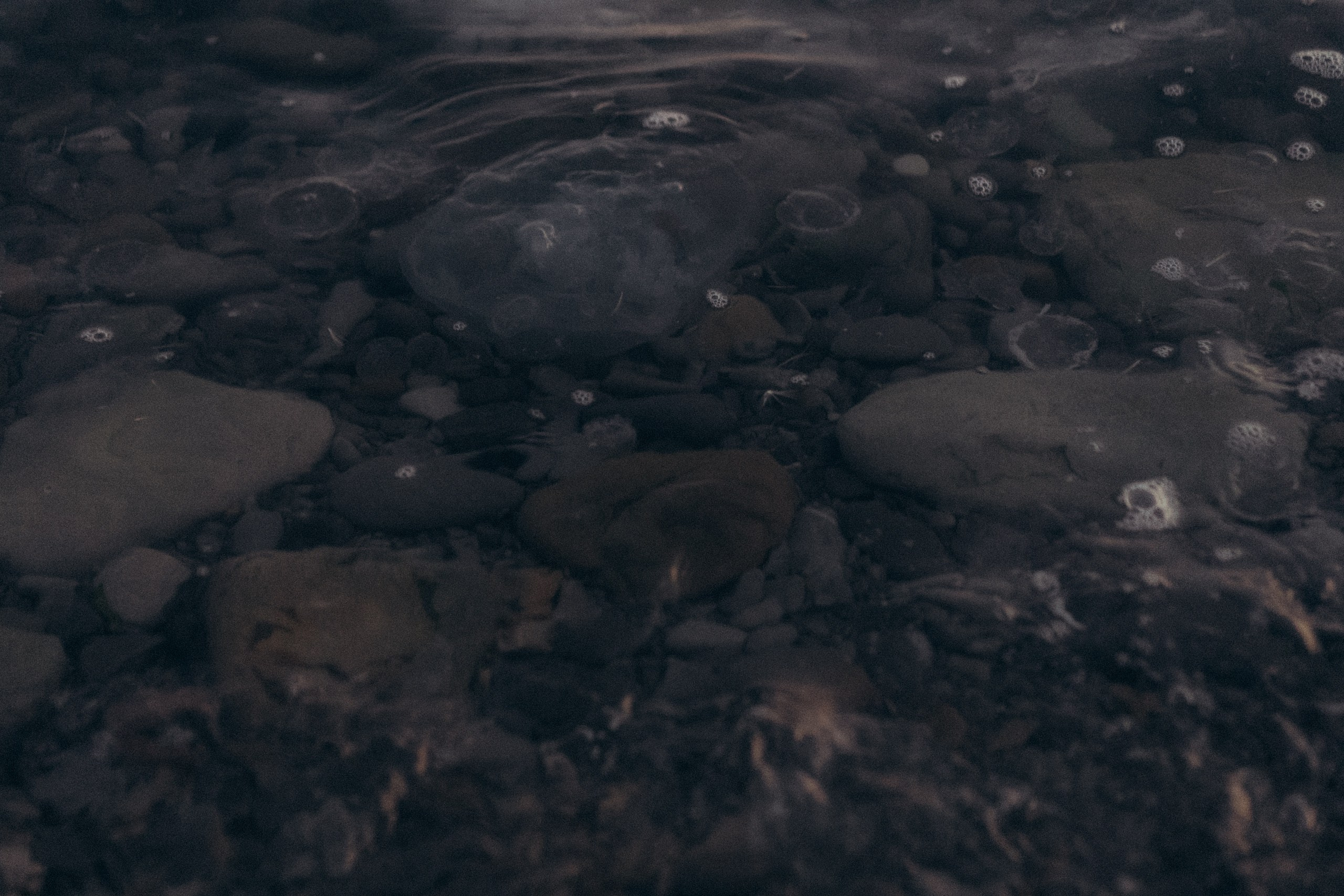 Вечерняя прогулка по Анапе. Профессиональный фотограф, Санкт-Петербург — Виктория Богомолова