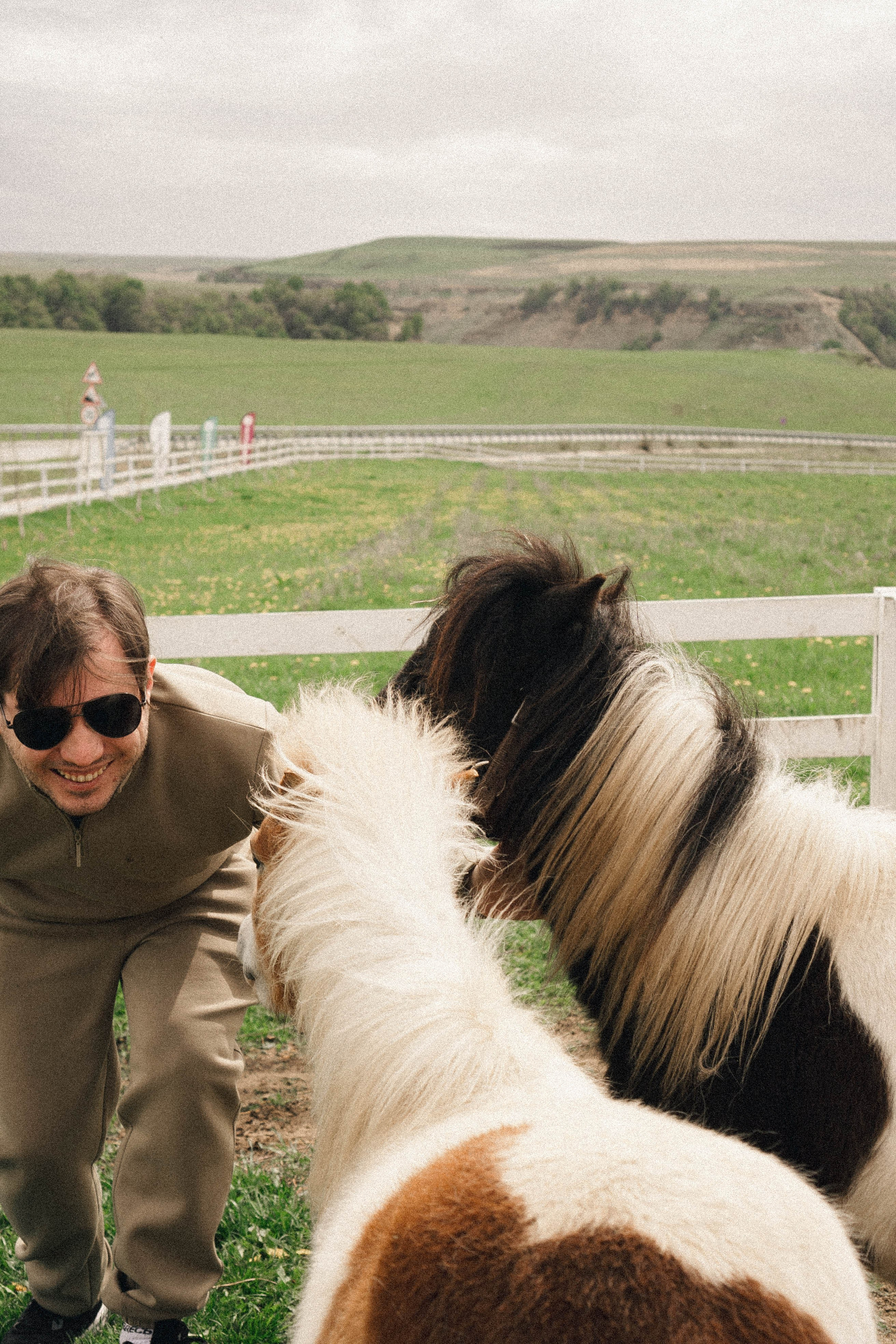 Ферма Альпак. Профессиональный фотограф, Санкт-Петербург — Виктория Богомолова