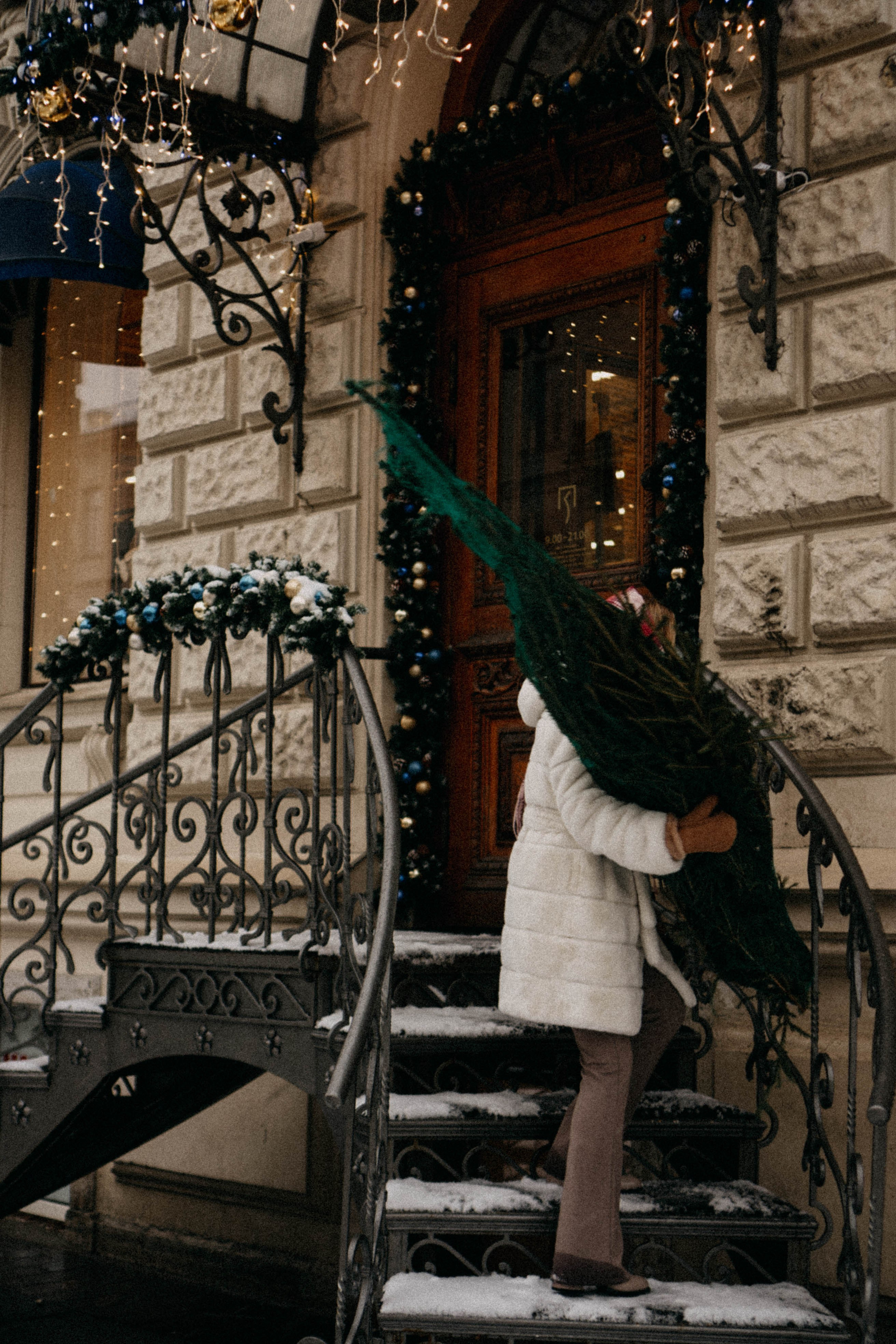 Новогодняя. Профессиональный фотограф, Санкт-Петербург — Виктория Богомолова