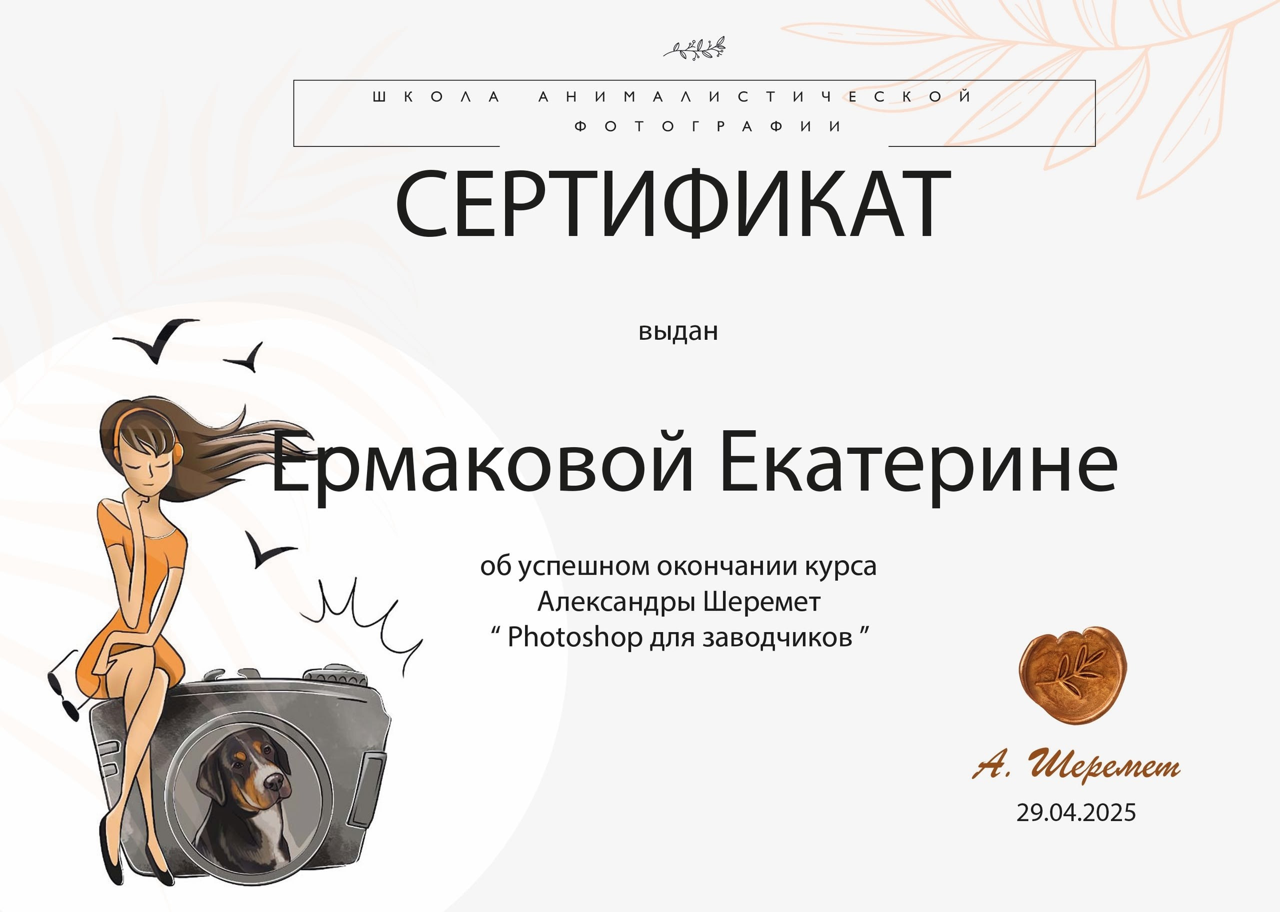 Сертификаты. Фотограф-анималист|Ермакова Екатерина