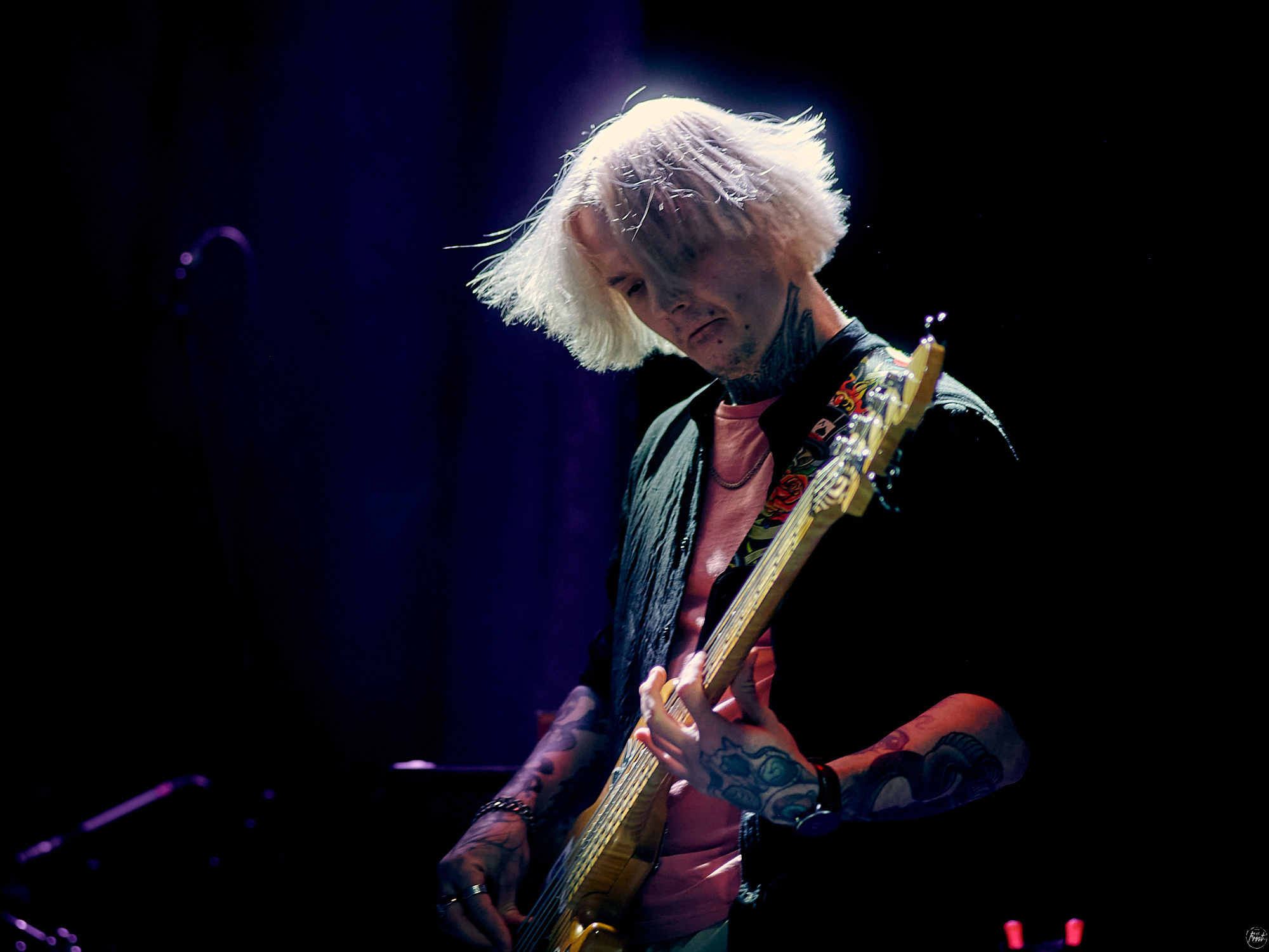 Колоницкий. Фотографии отовсюду и обо всем