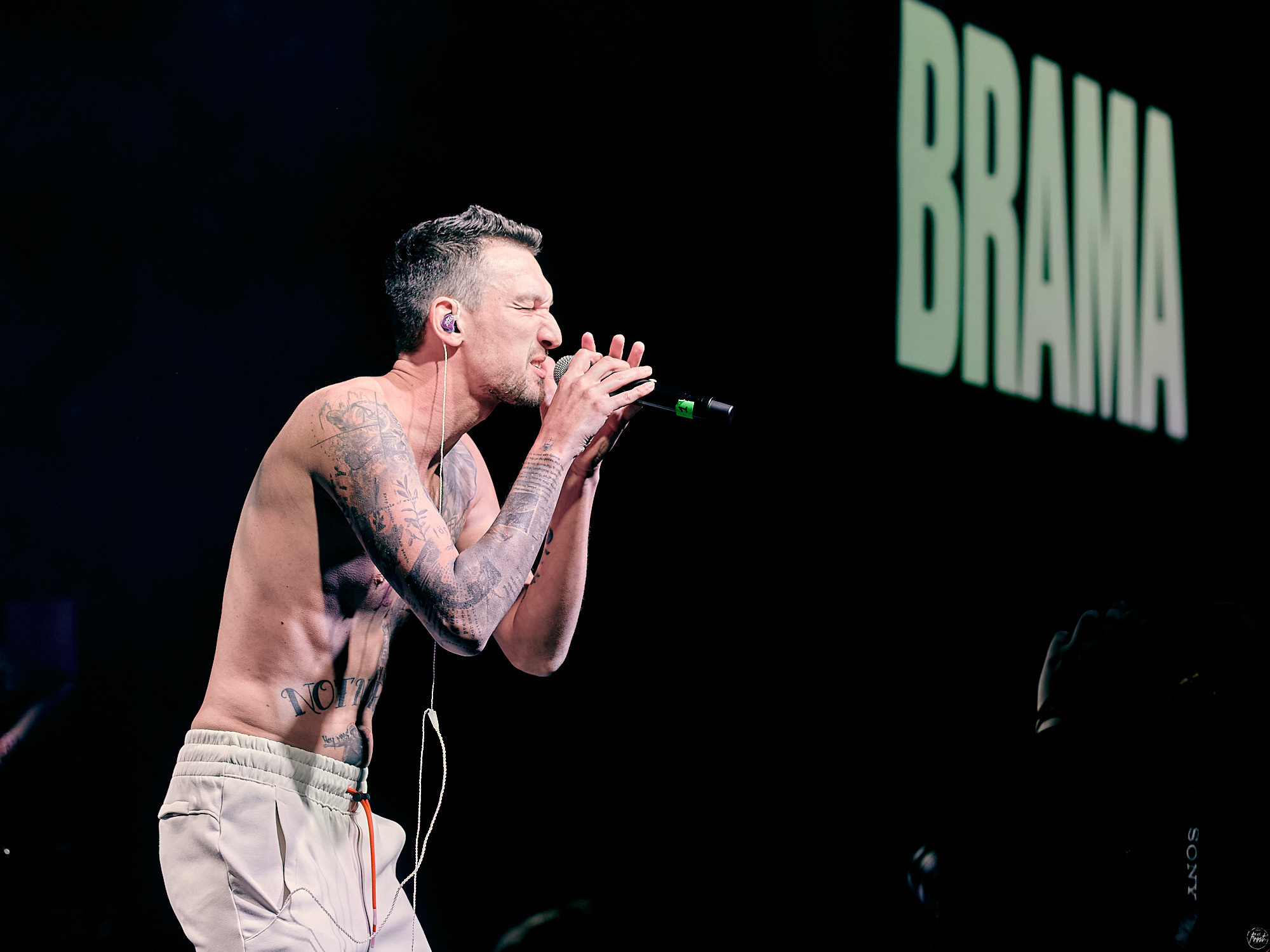 BRAMA. Фотографии отовсюду и обо всем