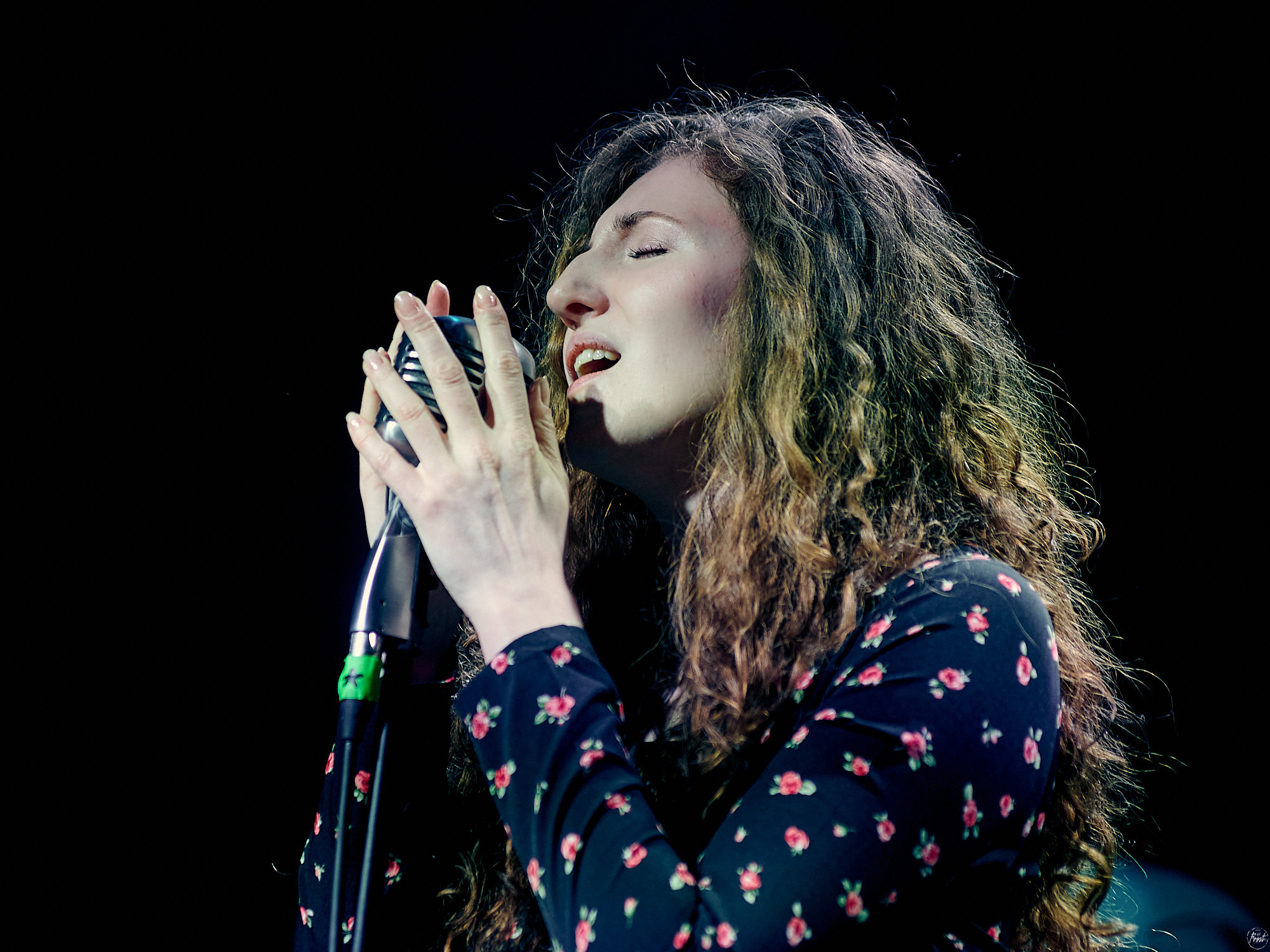 Южный Север. Фотографии отовсюду и обо всем