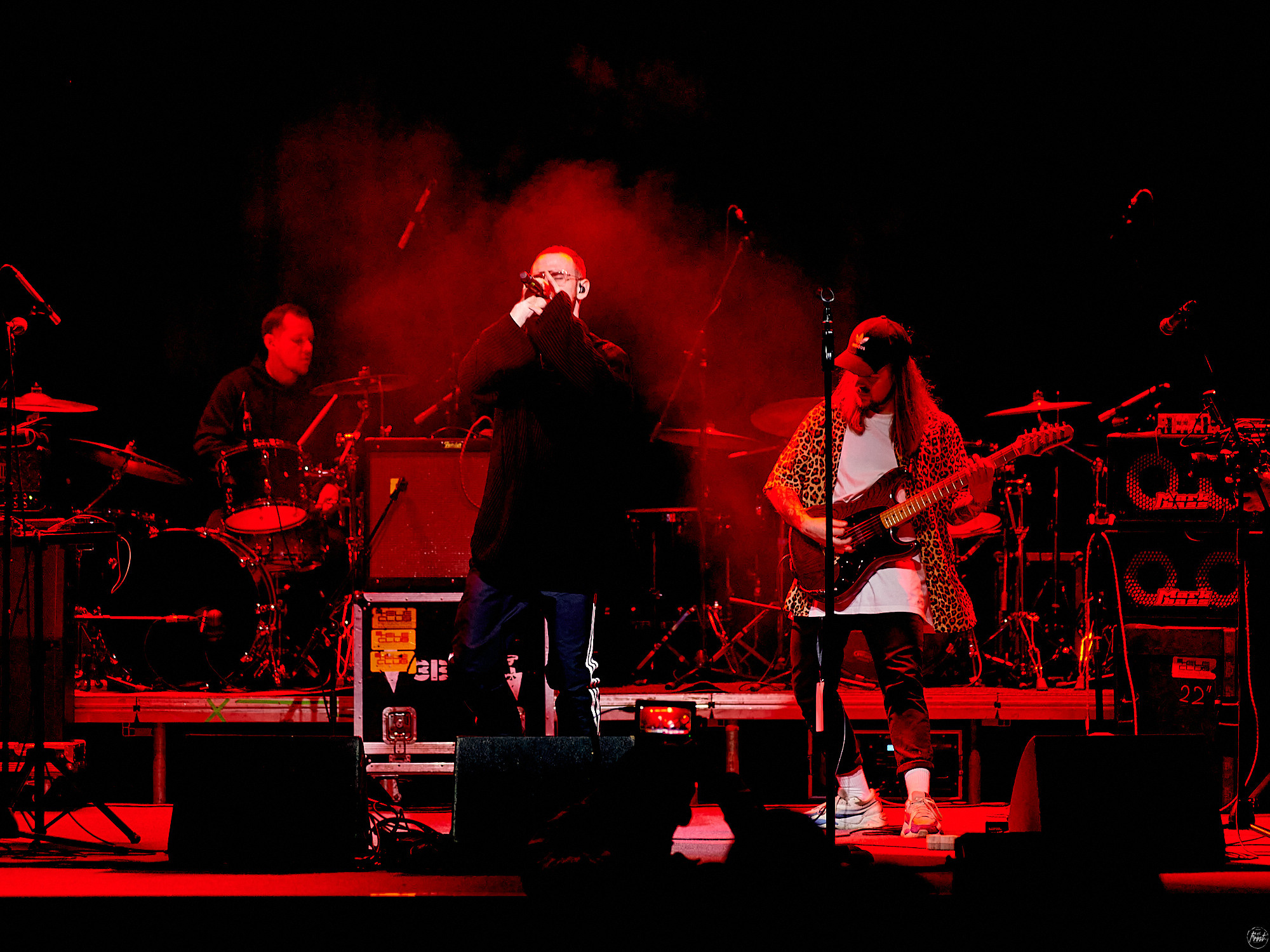 Дрель. Фотографии отовсюду и обо всем