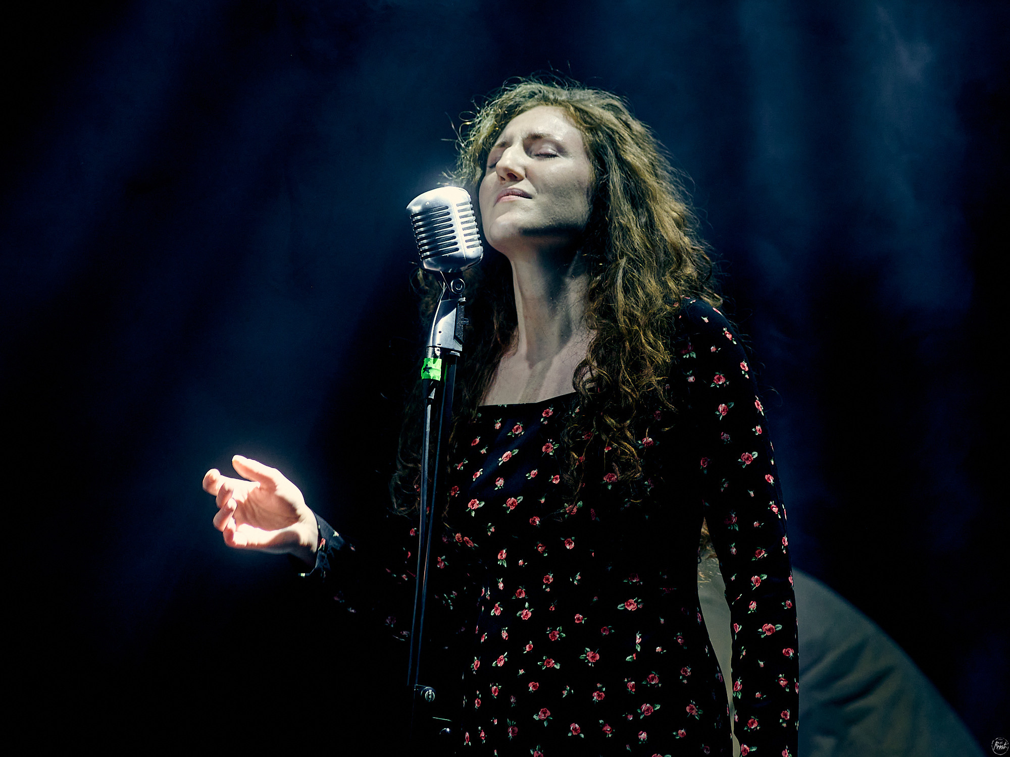 Южный Север. Фотографии отовсюду и обо всем