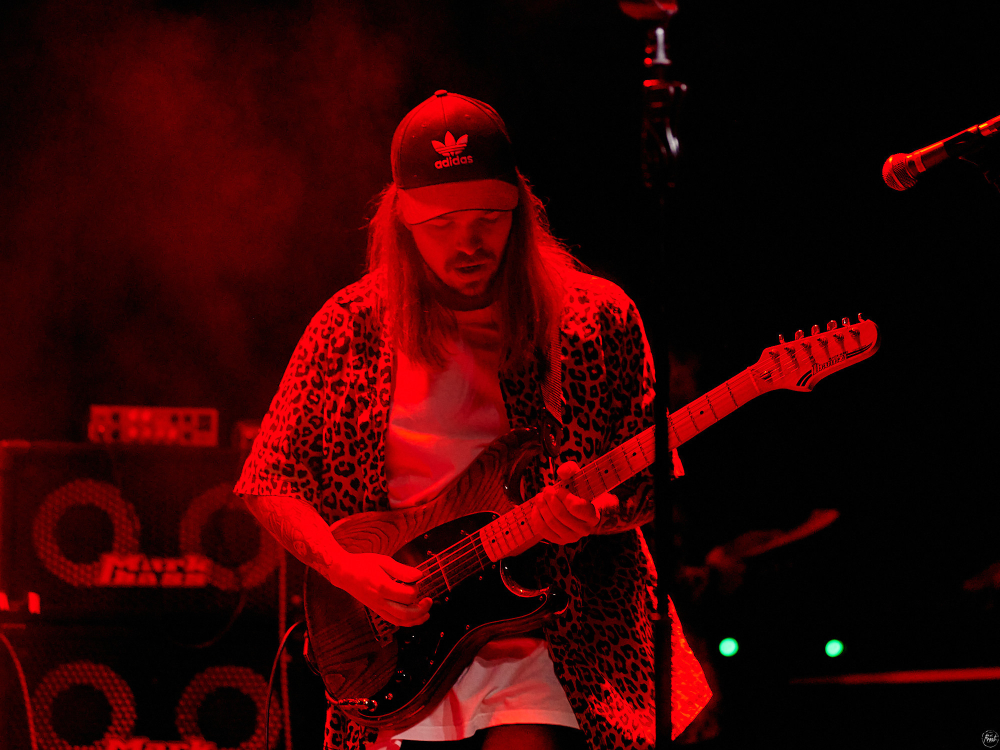 Дрель. Фотографии отовсюду и обо всем