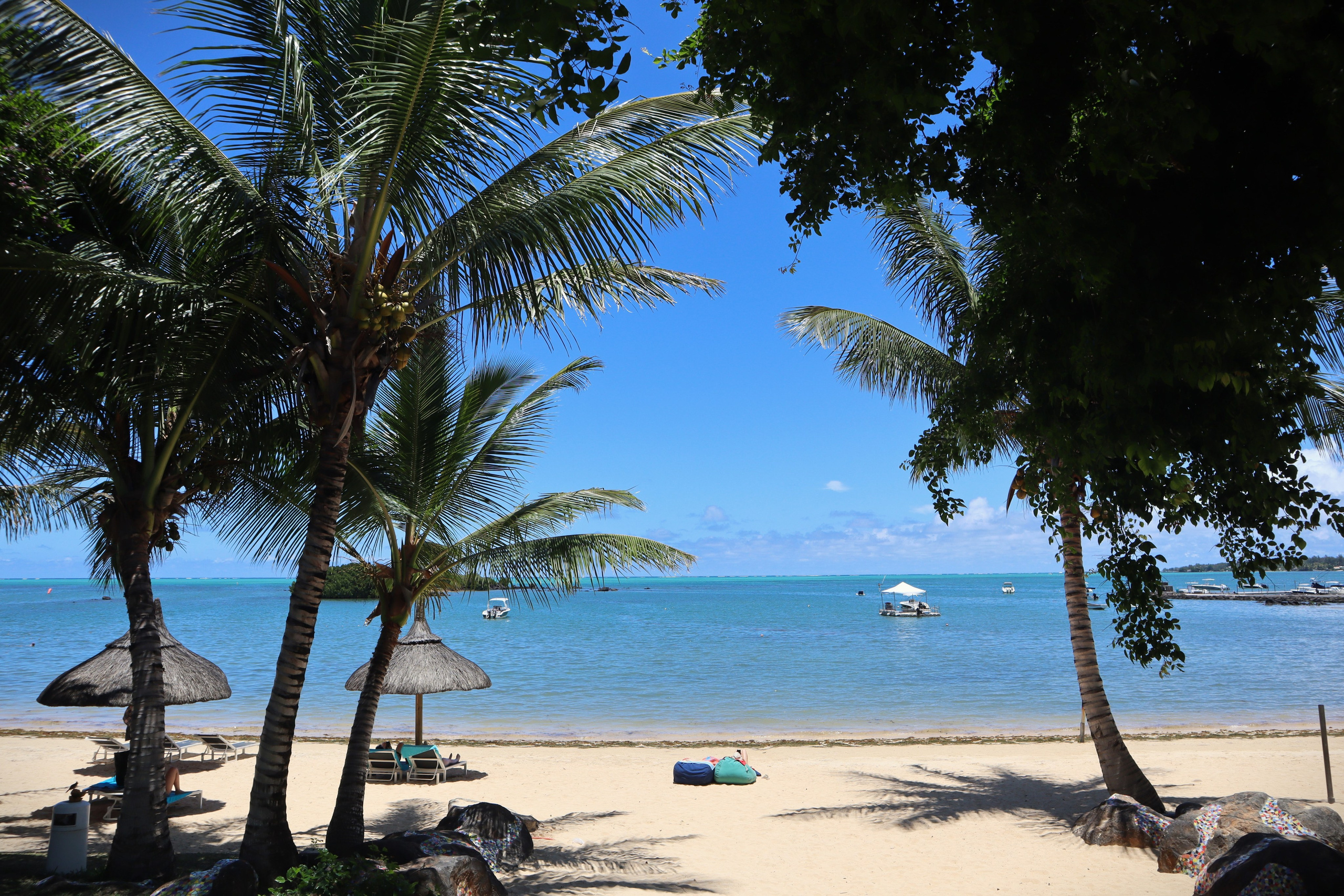 Путешествие на родину птицы додо. Travel photographer Ksenia